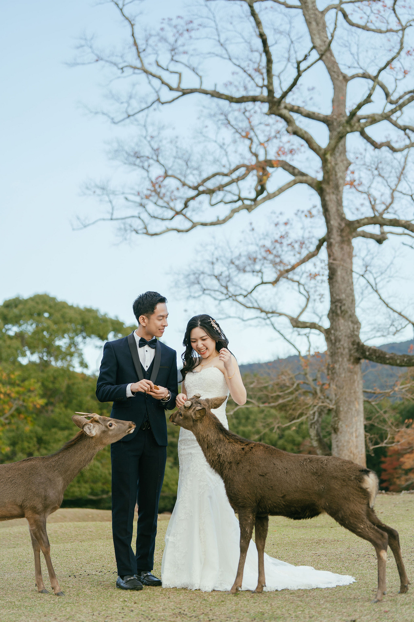 Kyoto Pre-Wedding Photoshoot | Gion Streets & Fushimi Inari Shrine & Nara Park at Nara Park & Mount Wakakusa pre-wedding photo