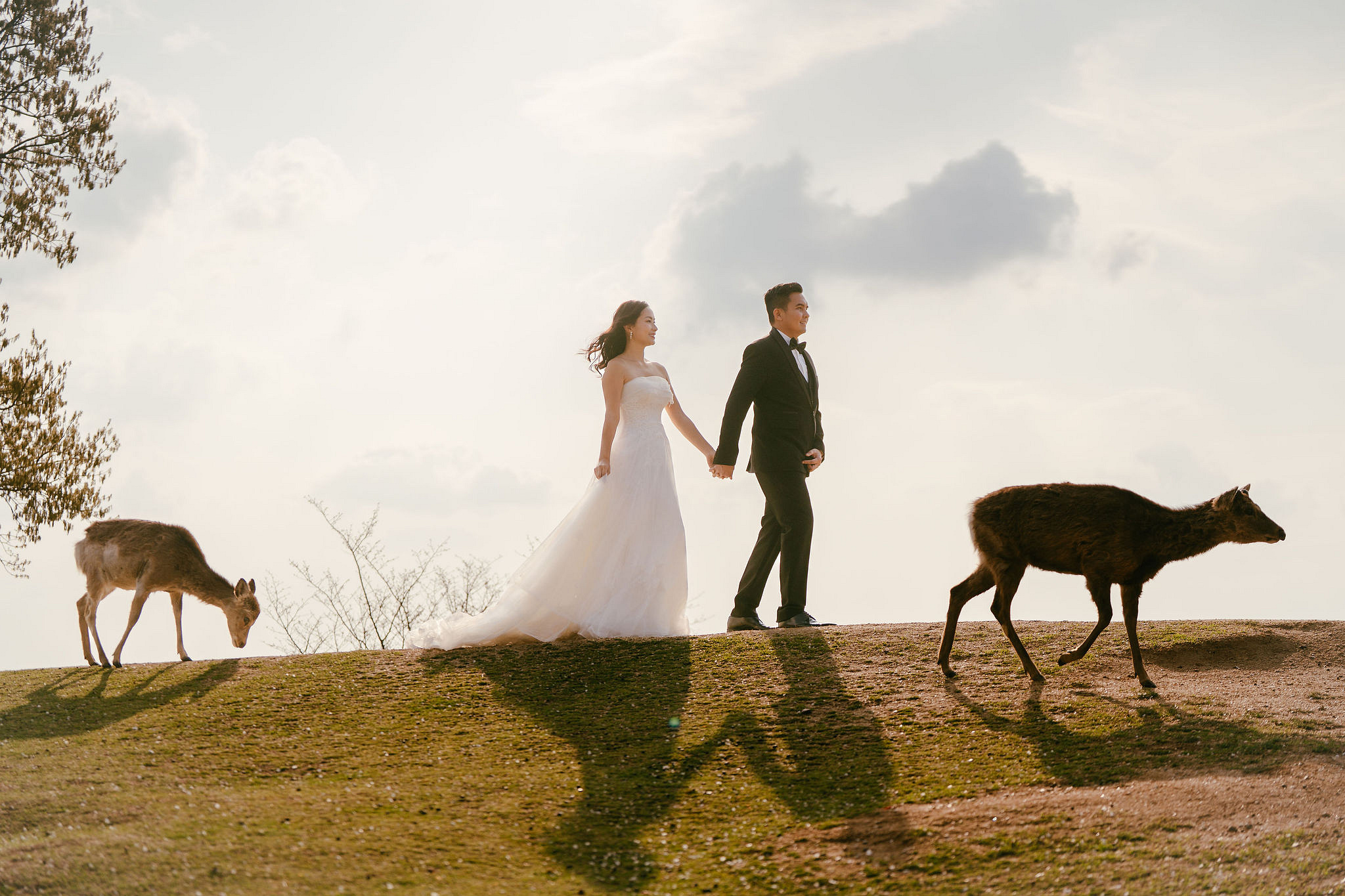 Kyoto Pre-Wedding Photoshoot | Gion Canal, Ninenzaka & Mount Wakakusa at Mount Wakakusa, Nara pre-wedding photo
