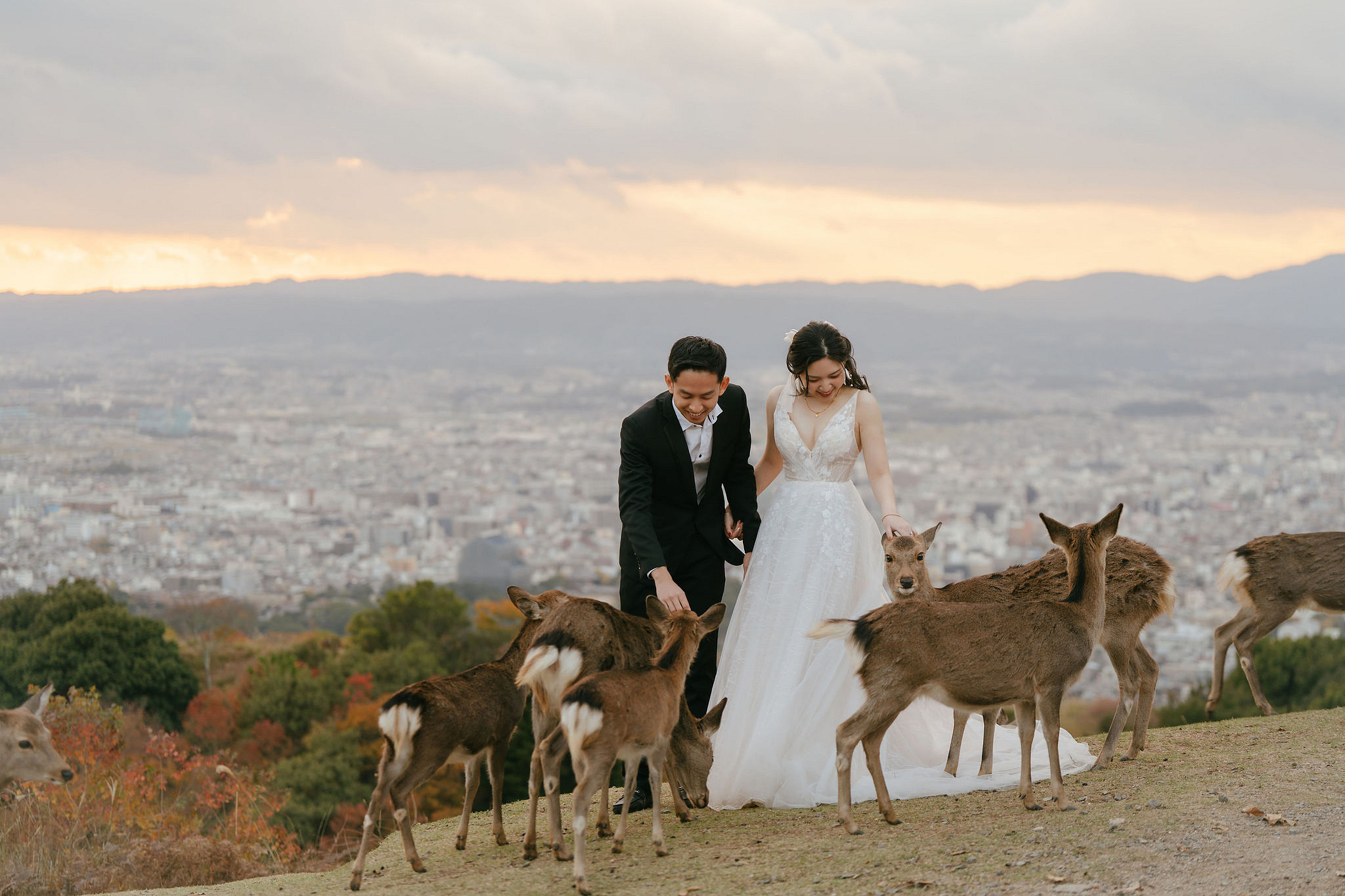 Kyoto Pre-Wedding Photoshoot | Gion Streets & Fushimi Inari Shrine & Nara Park at Nara Park & Mount Wakakusa pre-wedding photo
