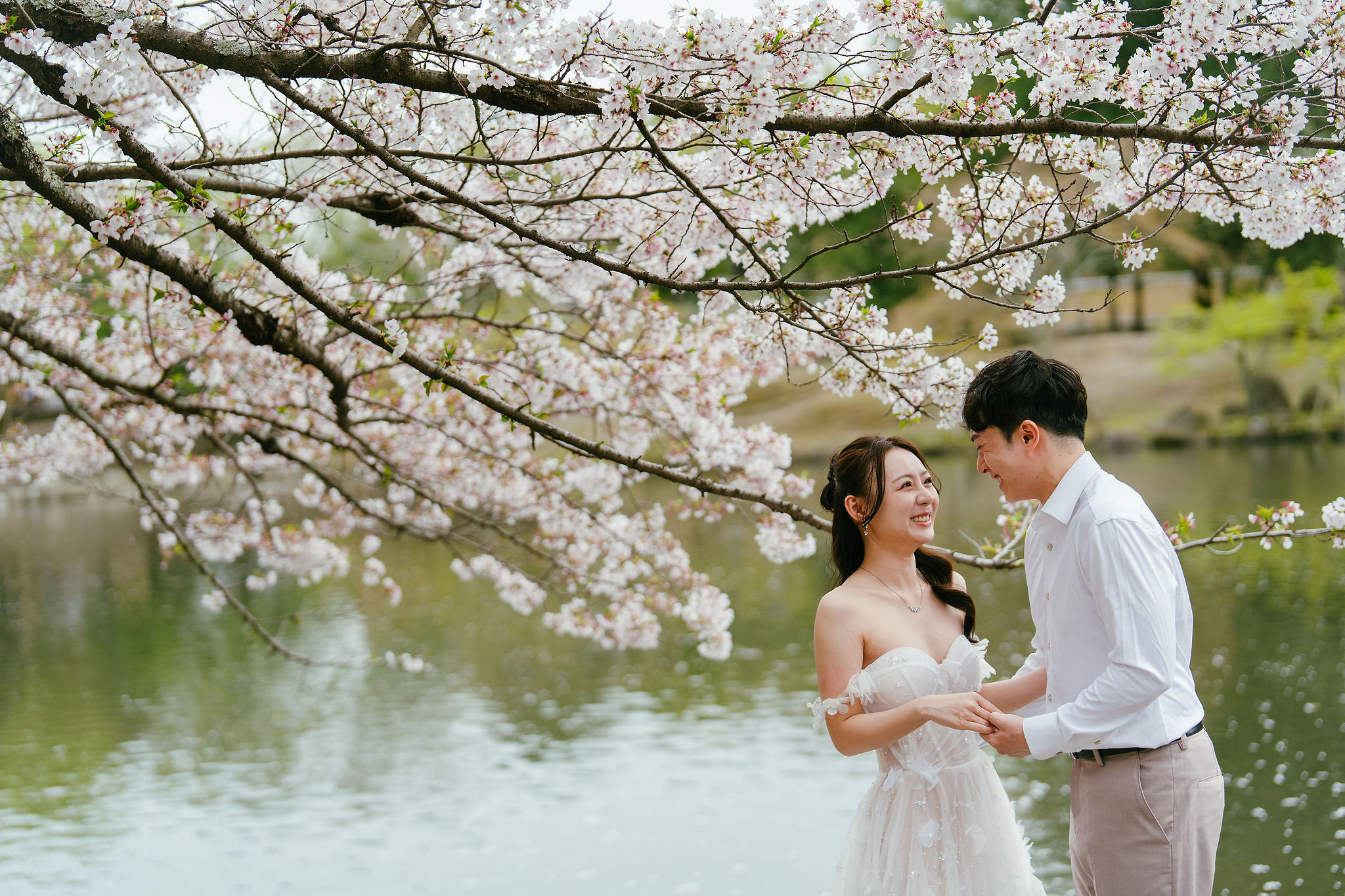 Kyoto Pre-Wedding Photoshoot | Fushimi Inari, Nara Deer Park & Mt. Wakakusa at Nara Deer Park pre-wedding photo