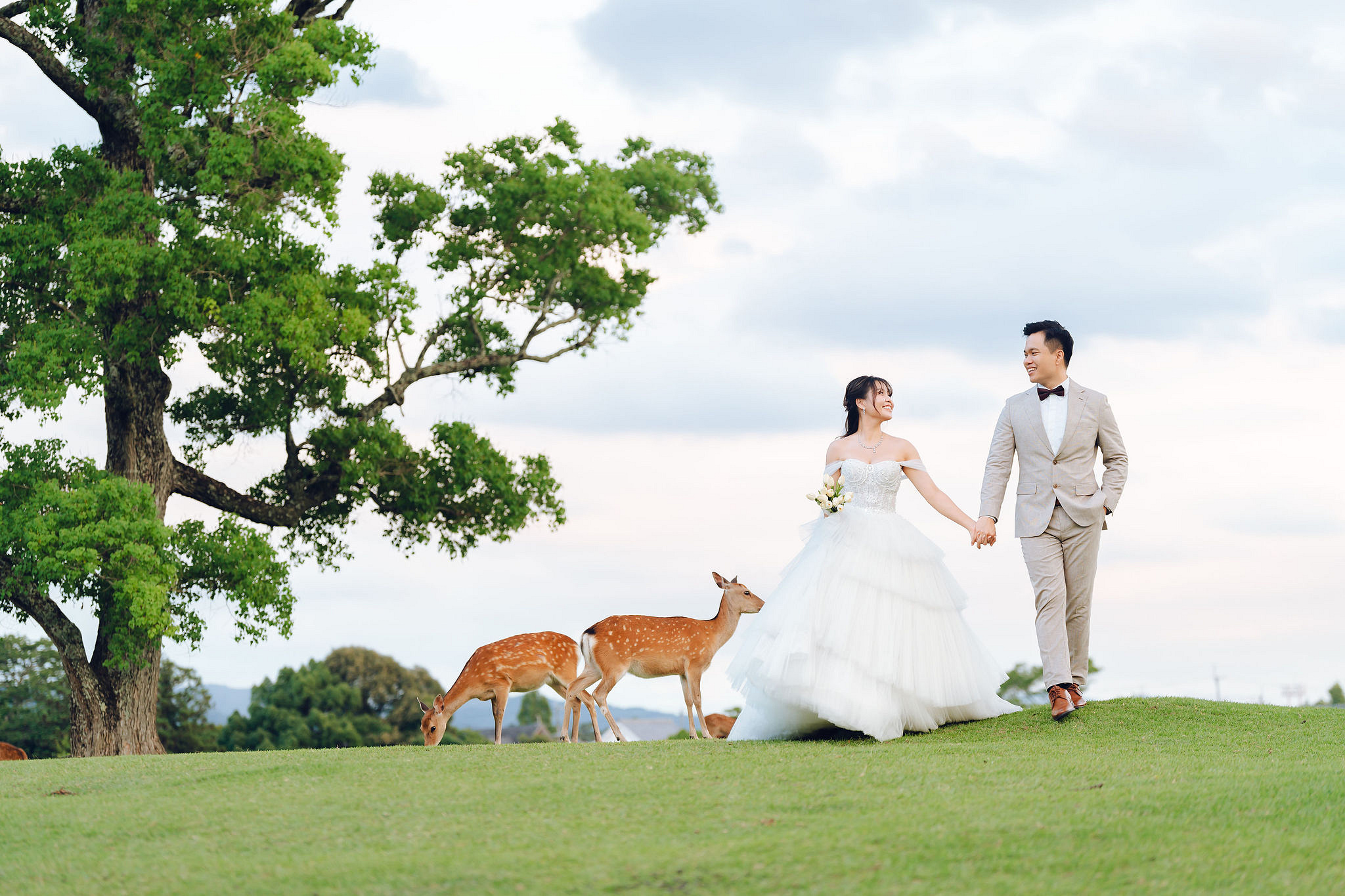 Kyoto Pre-Wedding Photoshoot | Gion Streets, Higashiyama & Nara Park at Nara Park Lawns pre-wedding photo