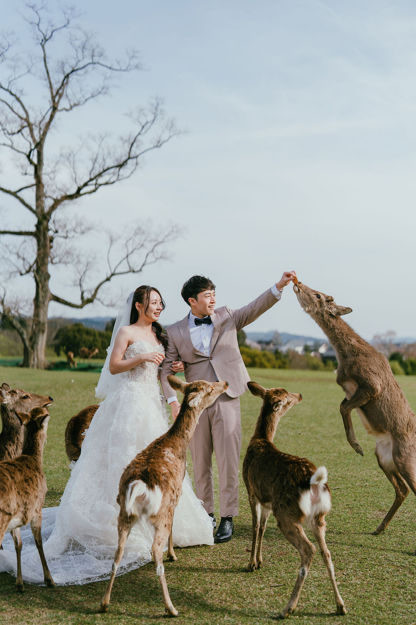 Kyoto Pre-Wedding Photoshoot | Fushimi Inari, Nara Deer Park & Mt. Wakakusa at Mt. Wakakusa pre-wedding photo
