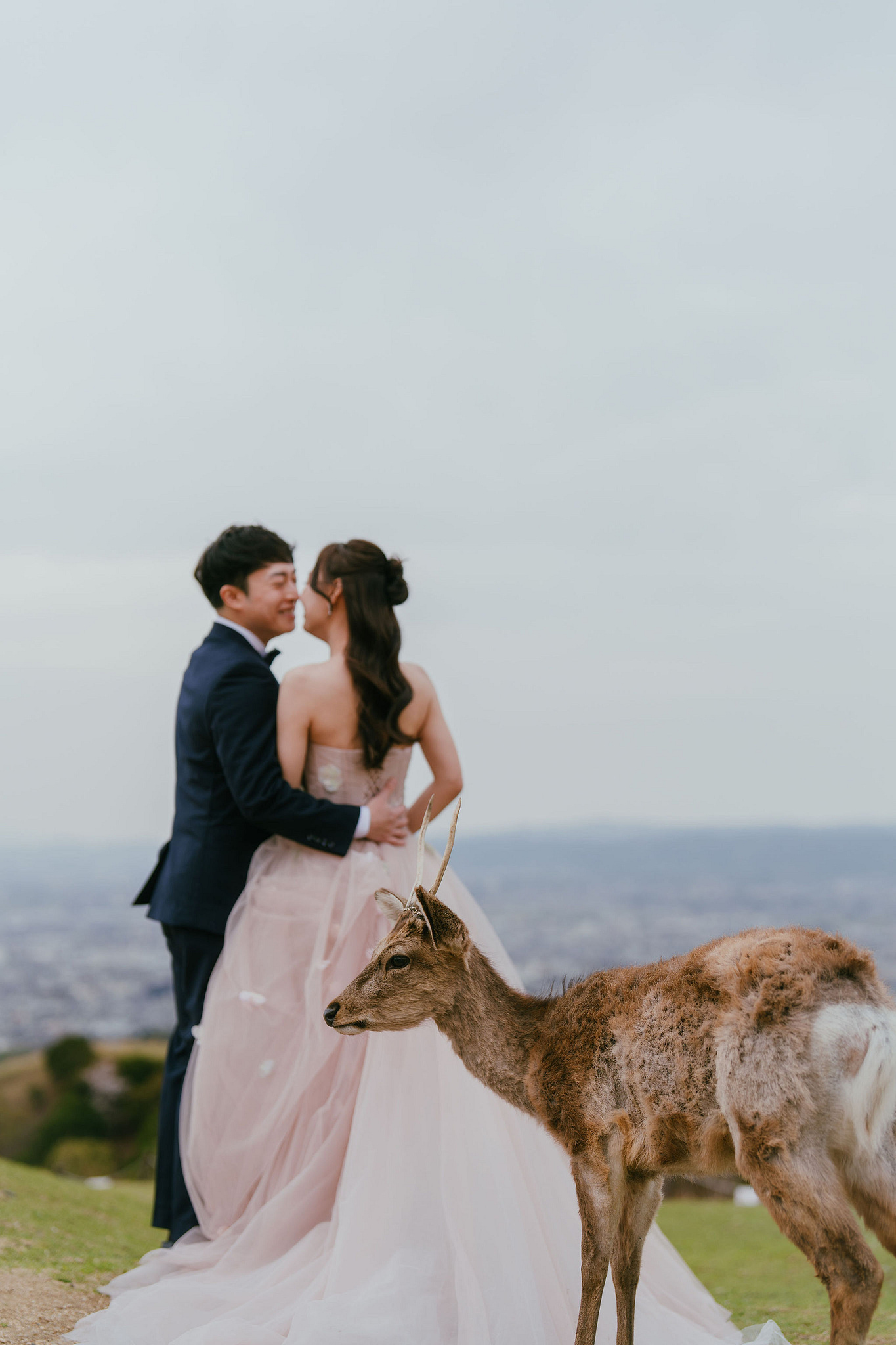 Kyoto Pre-Wedding Photoshoot | Fushimi Inari, Nara Deer Park & Mt. Wakakusa at Mt. Wakakusa pre-wedding photo