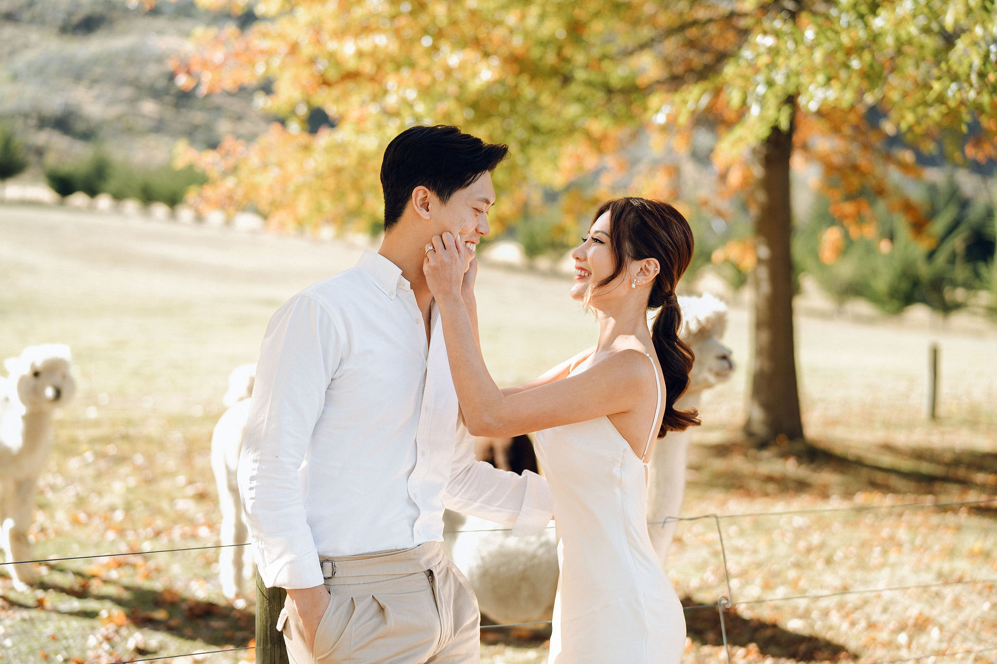 New Zealand Autumn Pre-Wedding Photoshoot Twin Peak Skippers Canyon Alpaca Farm Hilltop Cardrona Night Shoot Kombi Van at Alpaca Farm pre-wedding photo