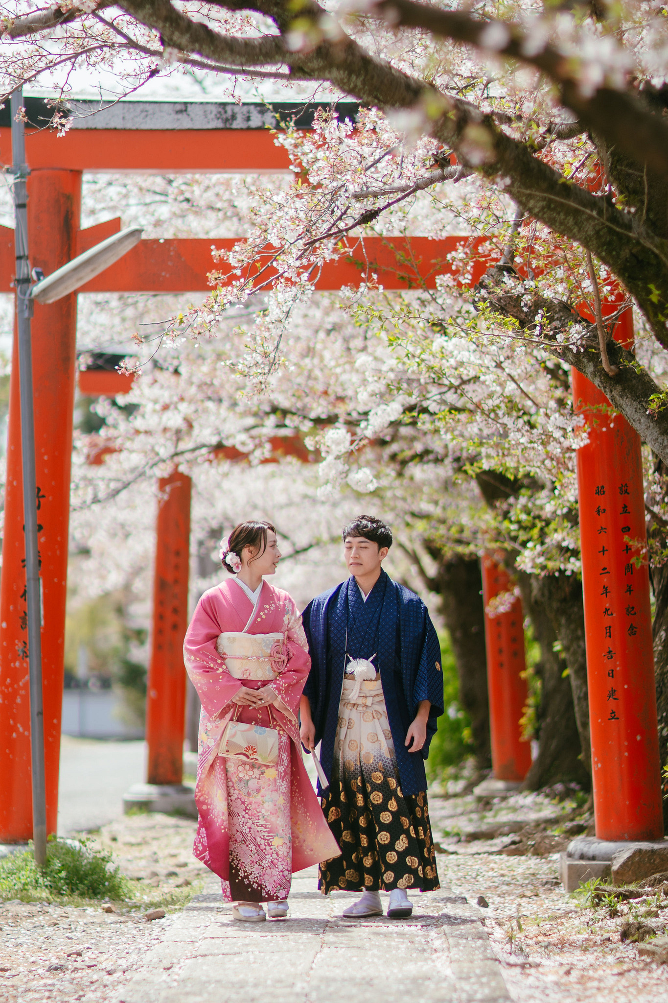 Kyoto Pre-Wedding Photoshoot | Fushimi Inari, Nara Deer Park & Mt. Wakakusa at Fushimi Inari pre-wedding photo