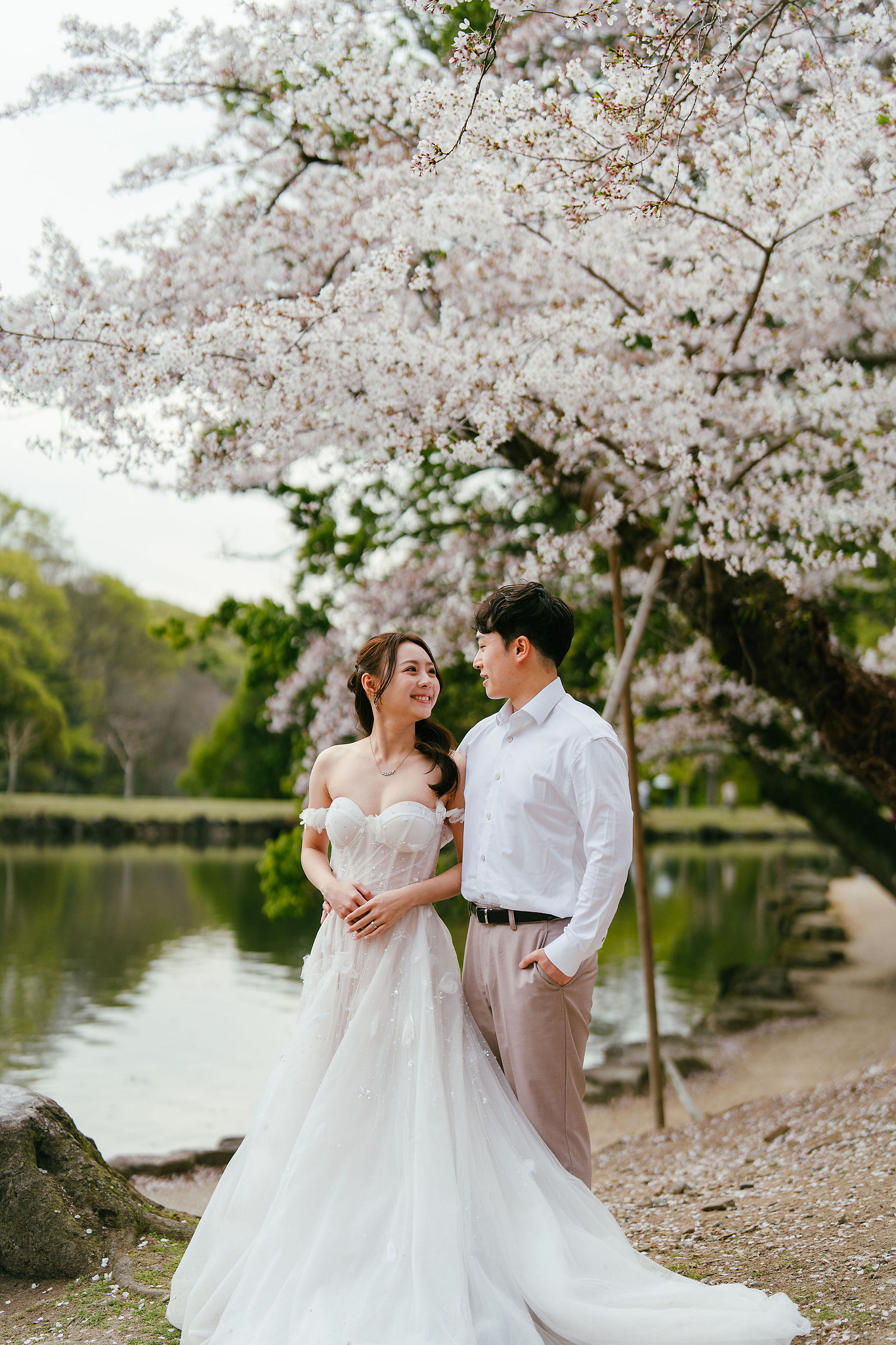 Kyoto Pre-Wedding Photoshoot | Fushimi Inari, Nara Deer Park & Mt. Wakakusa at Nara Deer Park pre-wedding photo