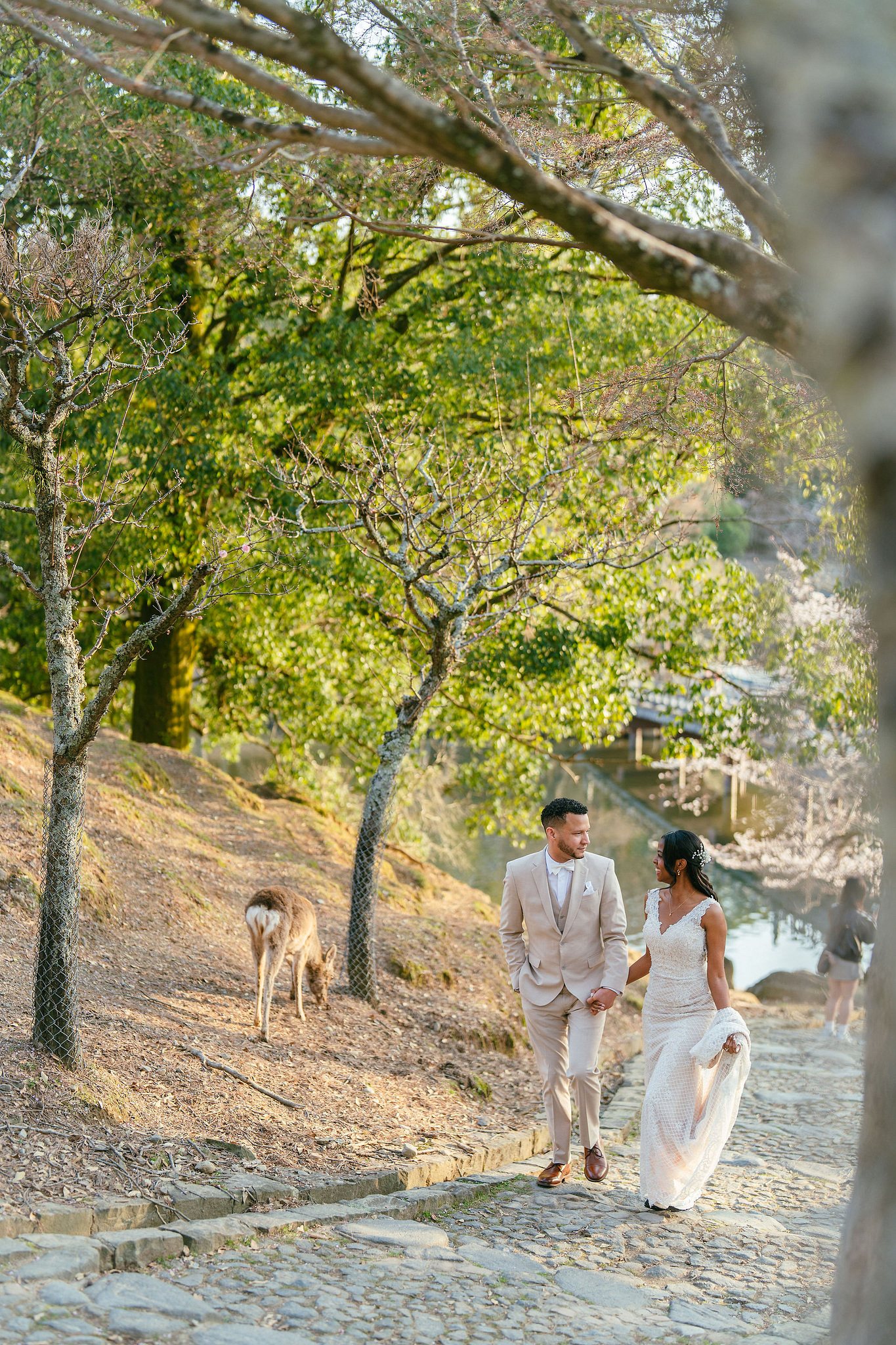 Kyoto Post-Wedding Photoshoot | Gion, Nara Deer Park & Mt. Wakakusa at Nara Deer Park pre-wedding photo