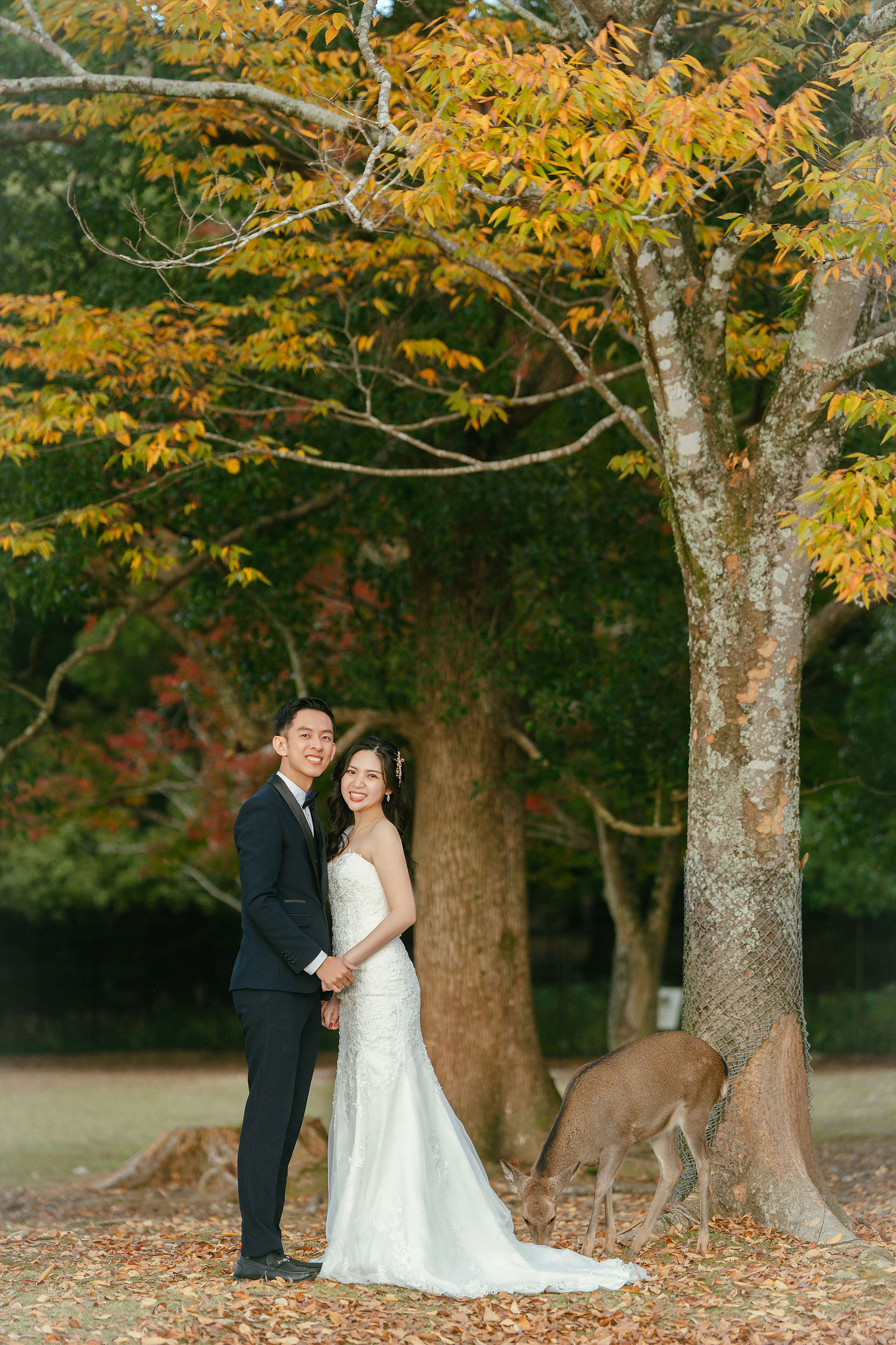 Kyoto Pre-Wedding Photoshoot | Gion Streets & Fushimi Inari Shrine & Nara Park at Nara Park & Mount Wakakusa pre-wedding photo