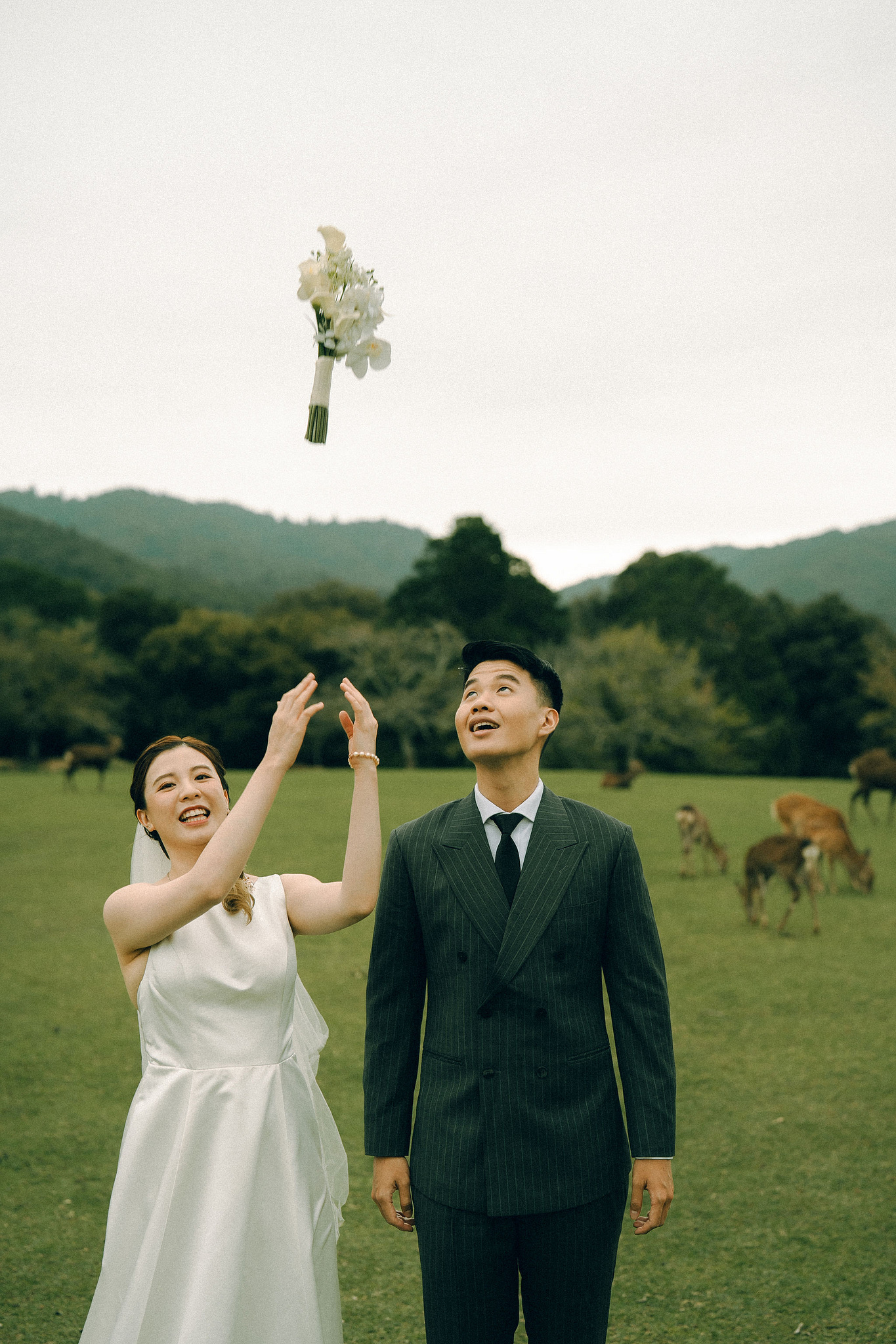 Kyoto Pre-Wedding Photoshoot | Fushimi Inari, Gion & Nara Park at Nara Park & Surrounding Hills pre-wedding photo