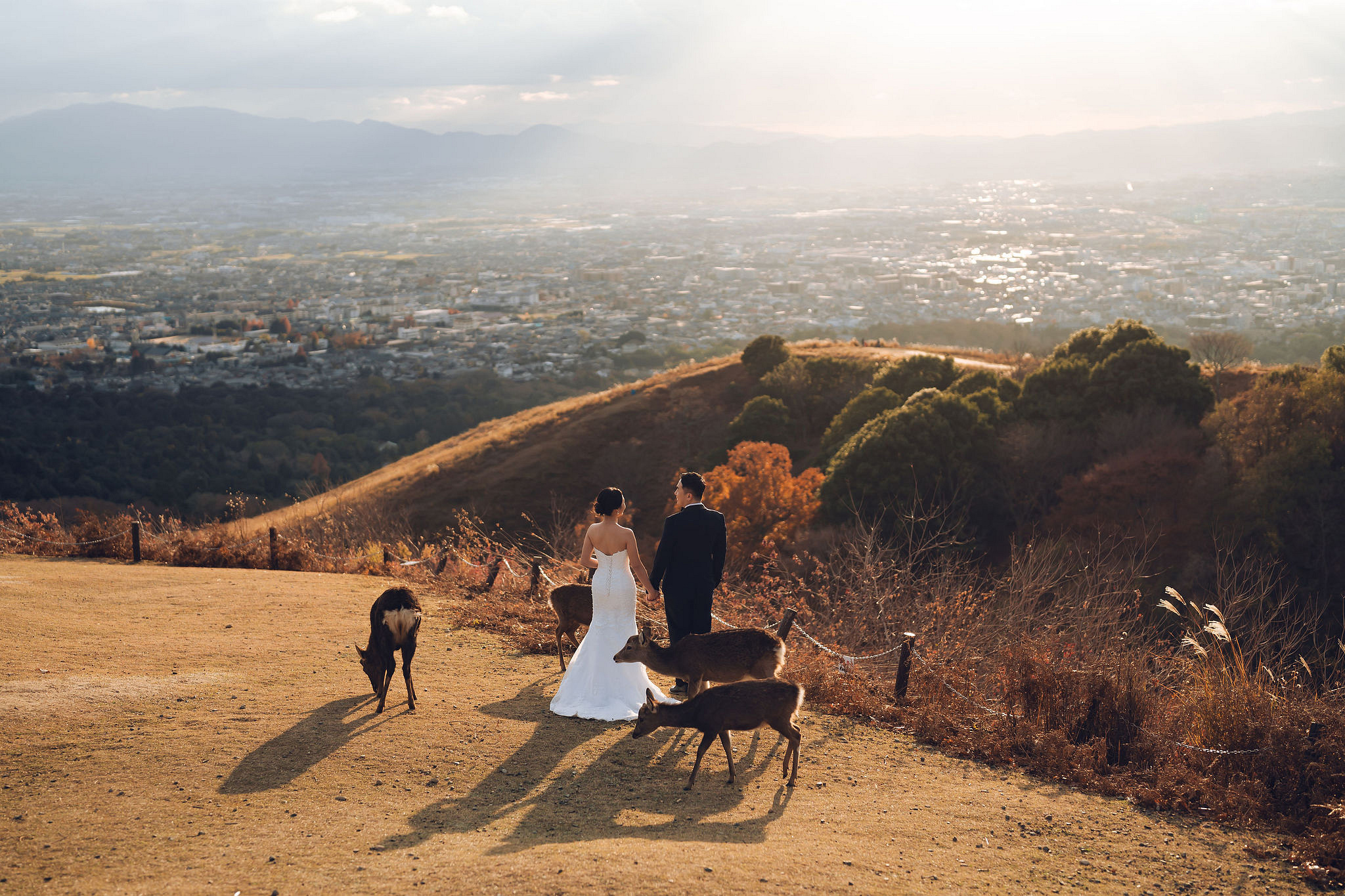 Kyoto Pre-Wedding Photoshoot | Historic Pagoda Streets & Nara Grasslands at Nara Grasslands & Rolling Hills pre-wedding photo