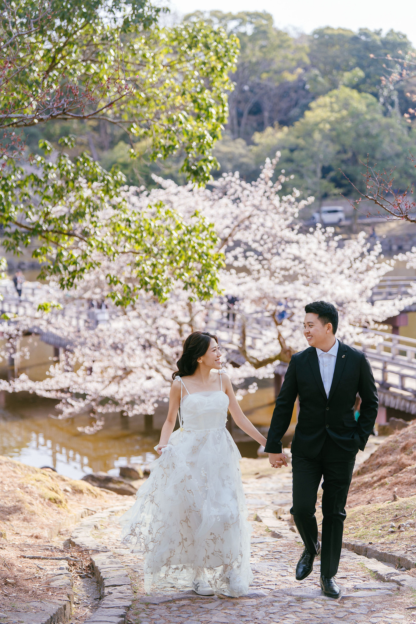 Kyoto Pre-Wedding Photoshoot | Nara Park, Gion & Mount Wakakusa at Nara Park pre-wedding photo