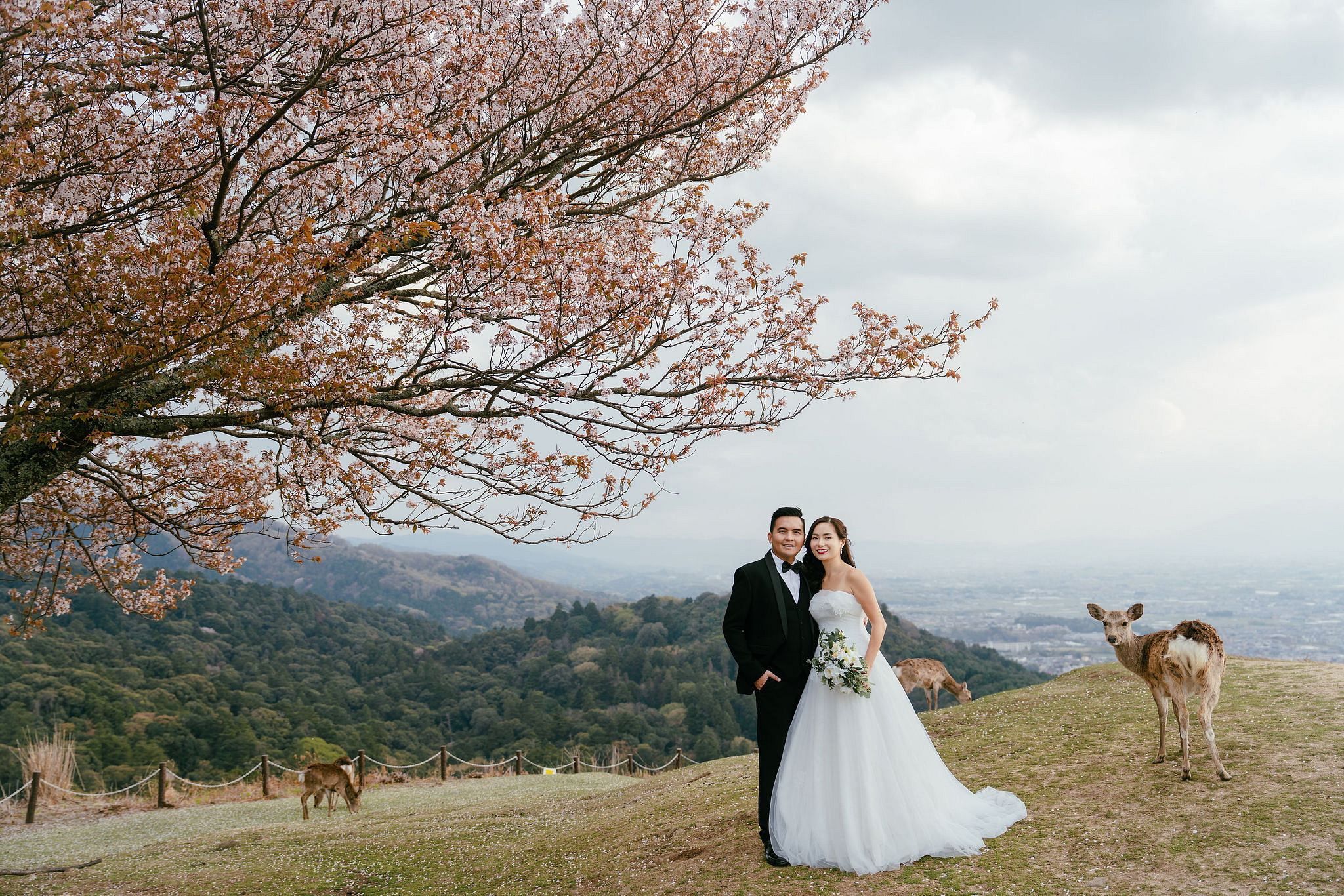 Kyoto Pre-Wedding Photoshoot | Gion Canal, Ninenzaka & Mount Wakakusa at Mount Wakakusa, Nara pre-wedding photo