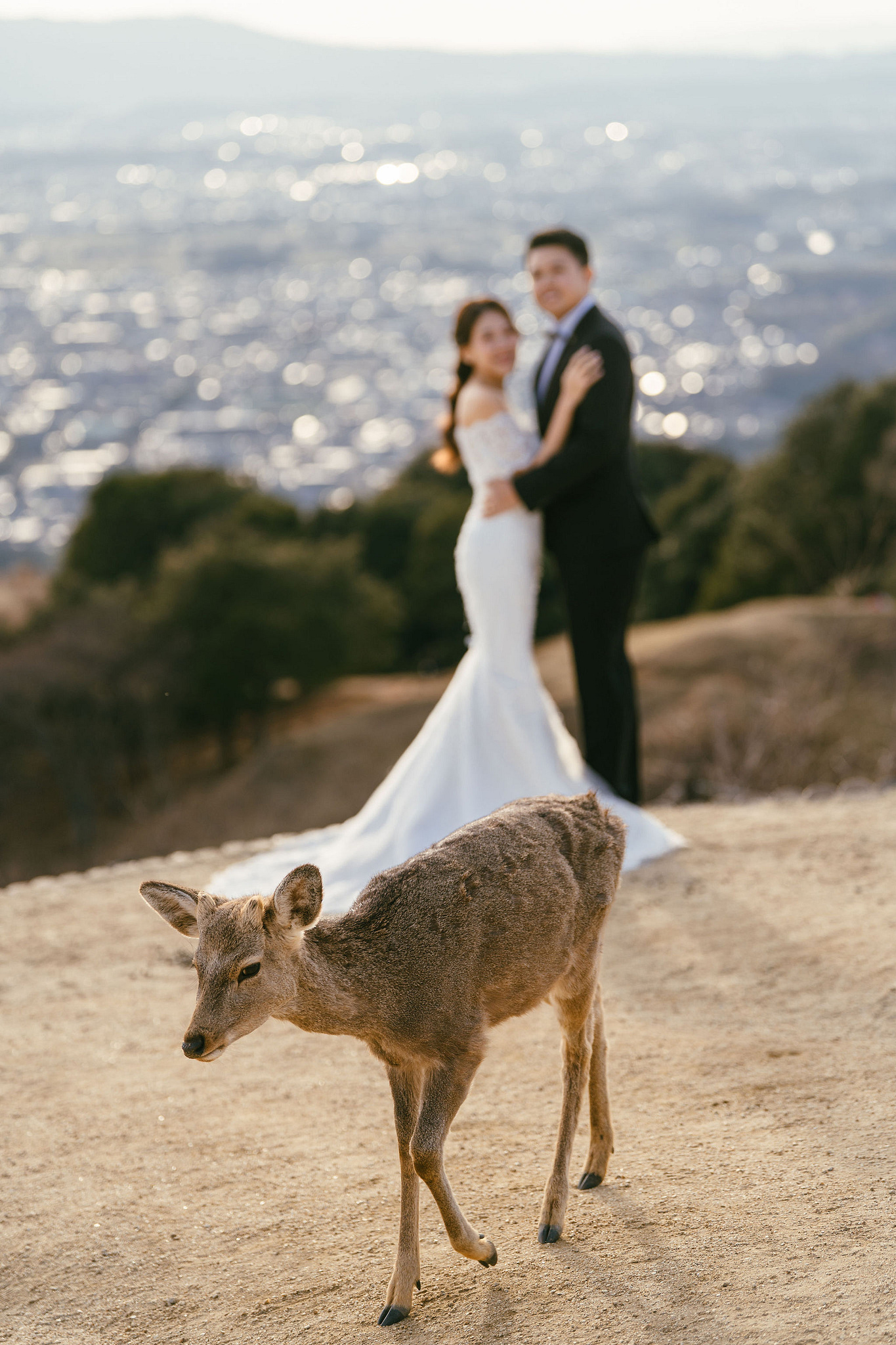 Kyoto Pre-Wedding Photoshoot | Nara Park, Gion & Mount Wakakusa at Mount Wakakusa pre-wedding photo