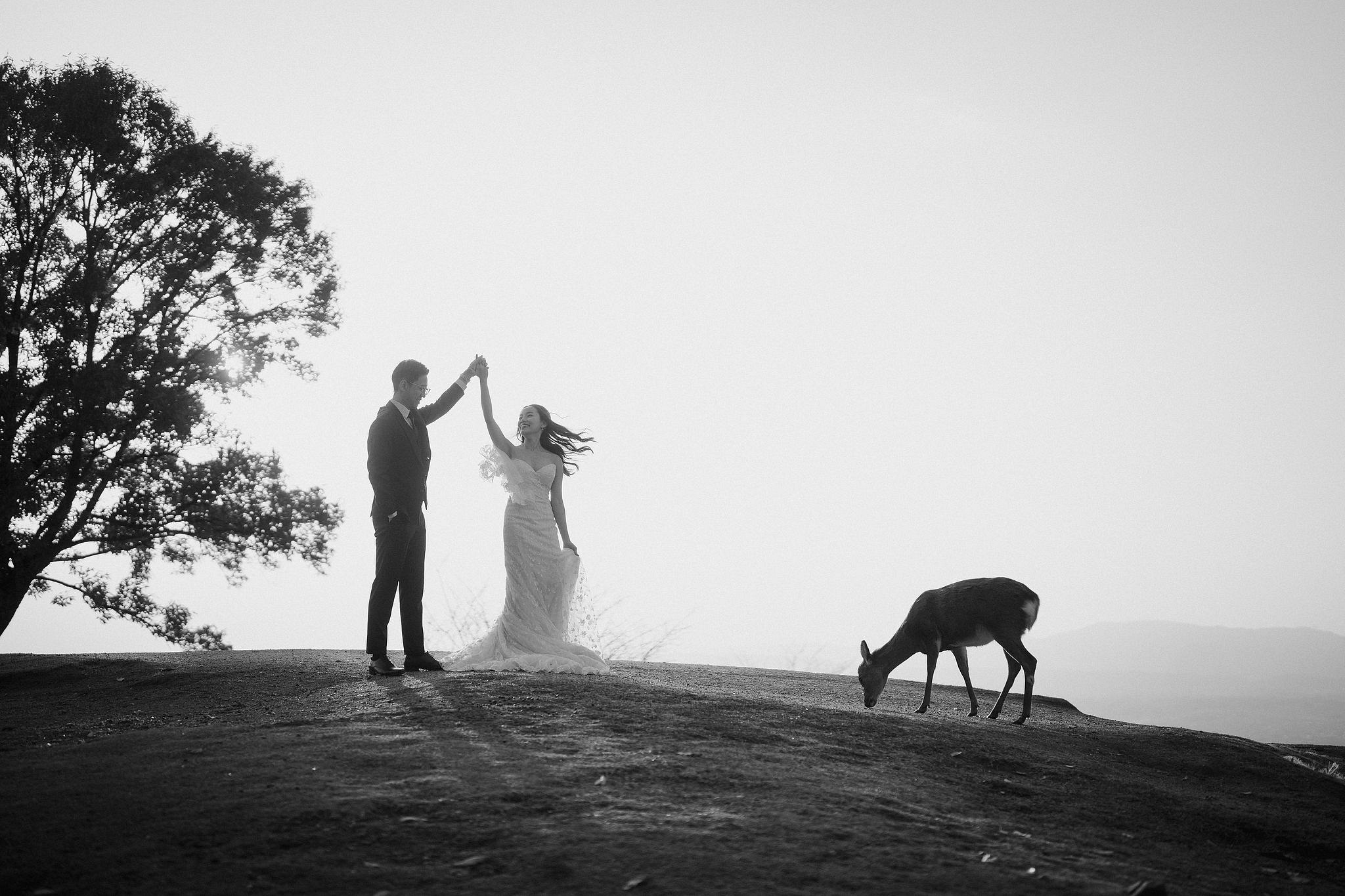 Kyoto Pre-Wedding Photoshoot | Kamo River, Nara Deer Park & Mt. Wakakusa at Mt. Wakakusa pre-wedding photo