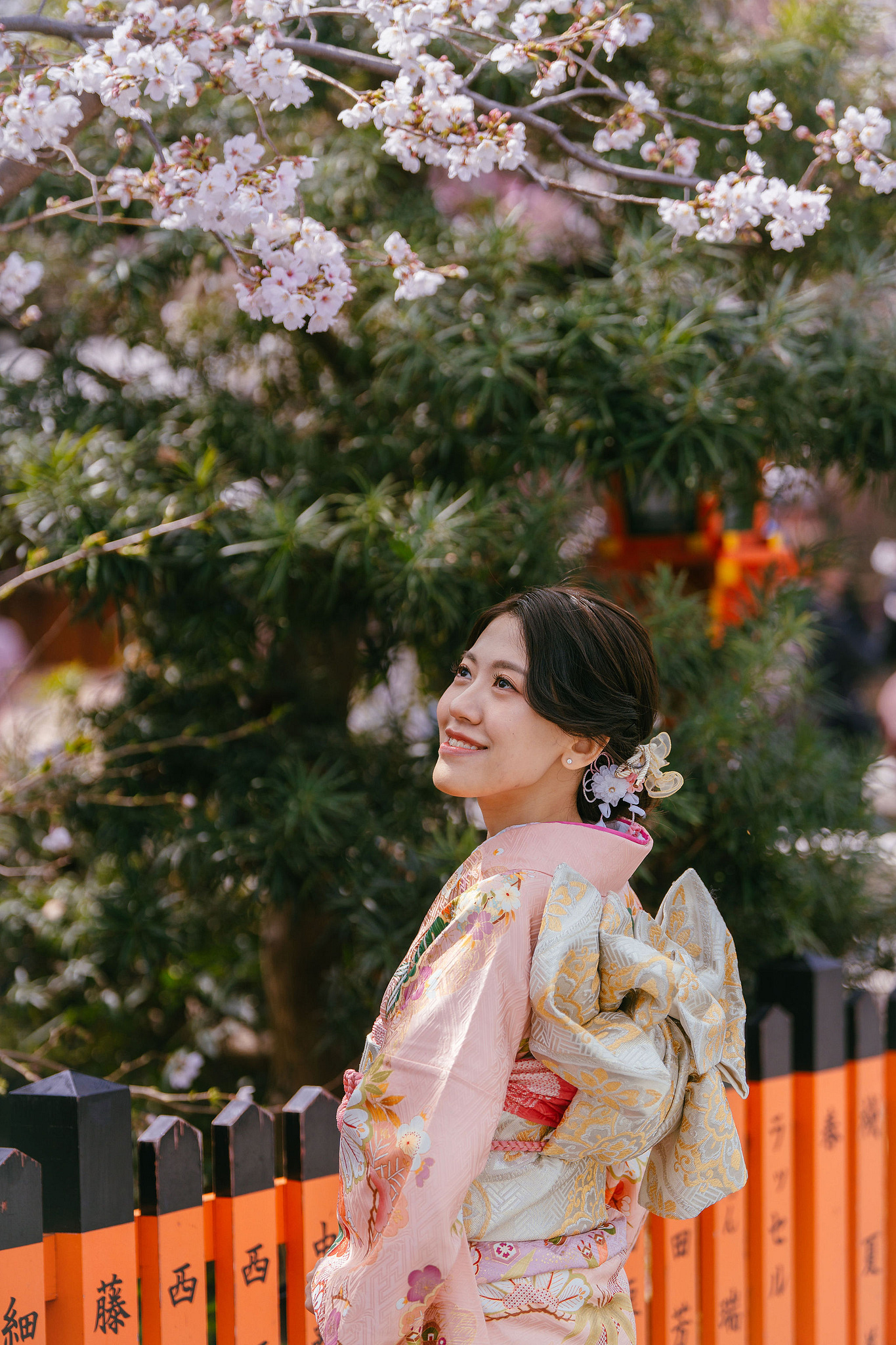 Kyoto Pre-Wedding Photoshoot | Nara Park, Gion & Mount Wakakusa at Gion pre-wedding photo