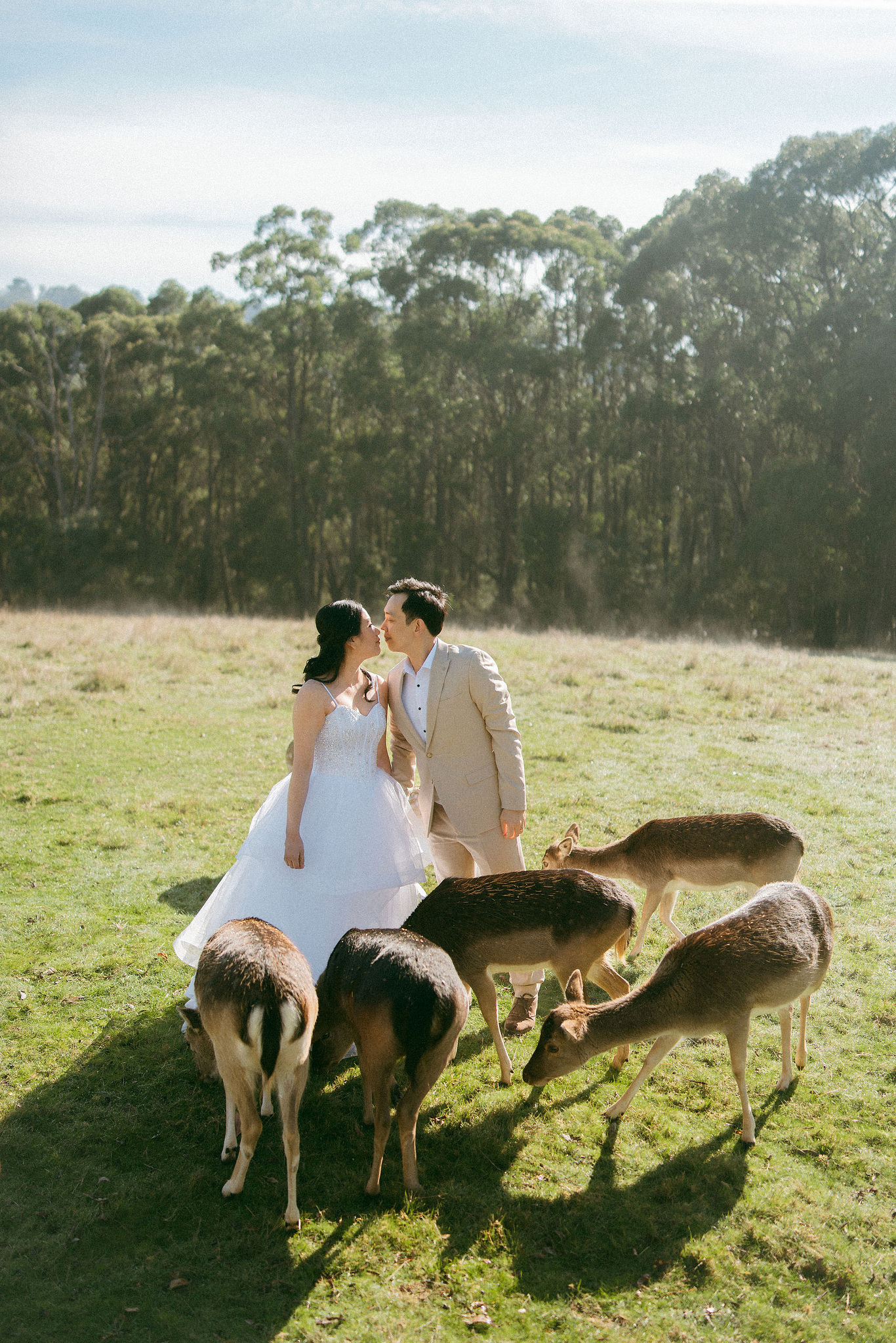 Melbourne Pre-Wedding Photoshoot | Gum Gully Farm, Studley Park & Carlton Gardens at Gum Gully Farm pre-wedding photo