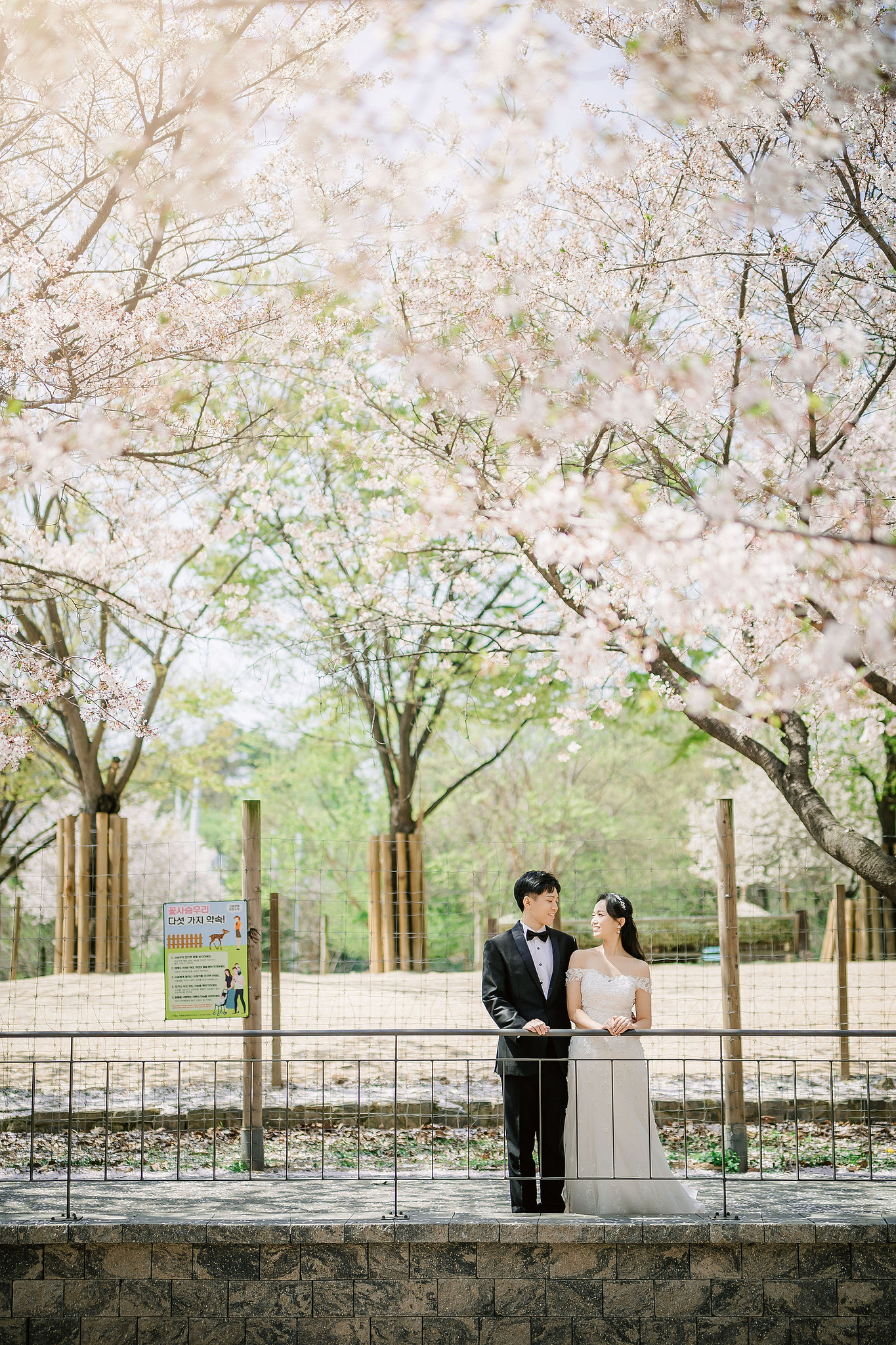 Seoul Pre-Wedding Photoshoot | Seoul Forest, Namsan Tower & Namsangol Hanok Village at Seoul Forest pre-wedding photo