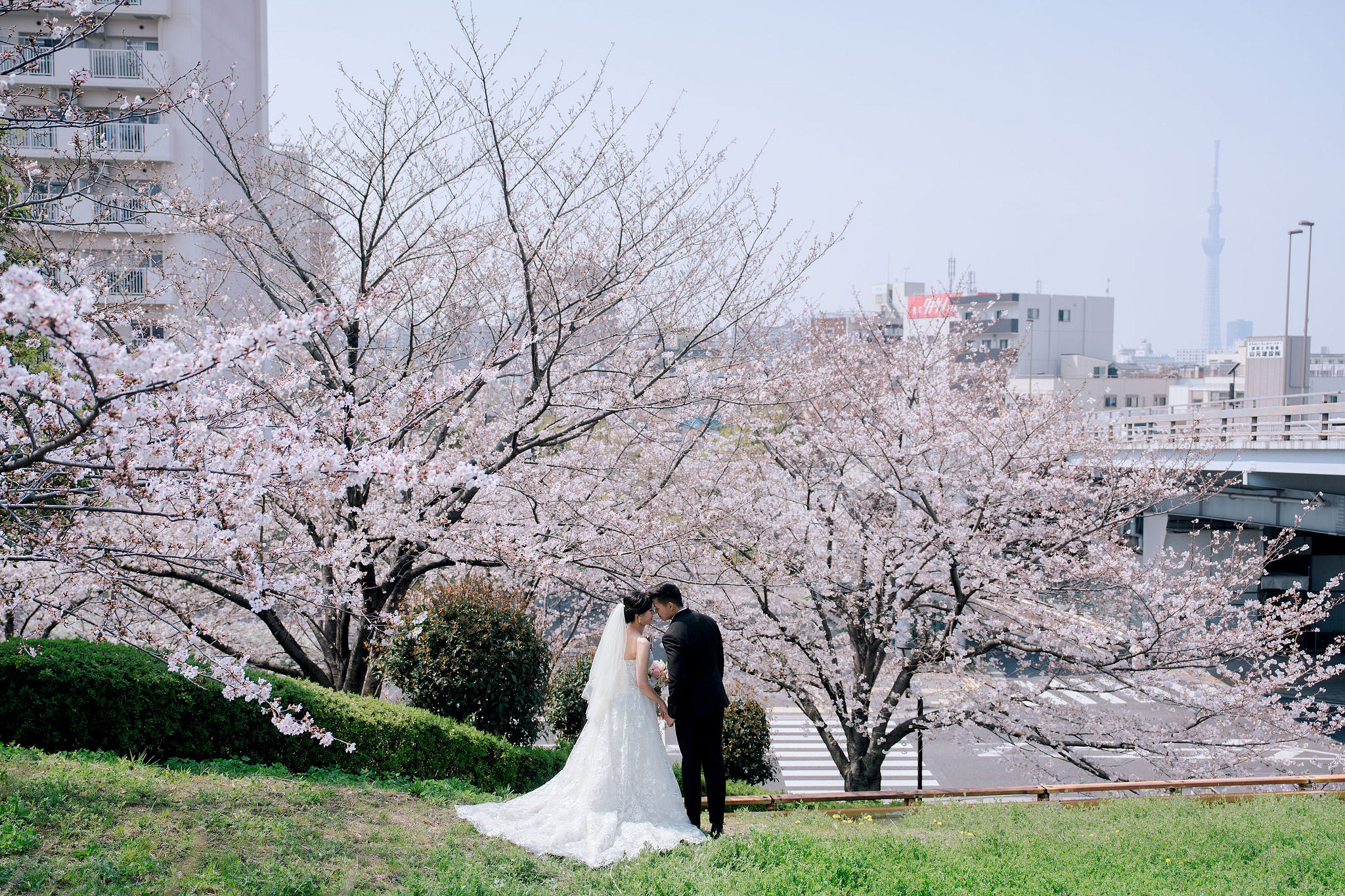 Tokyo & Mt Fuji Pre-Wedding Photoshoot | Senso-Ji Temple, Tokyo Park & Lake Kawaguchiko at Tokyo Park pre-wedding photo