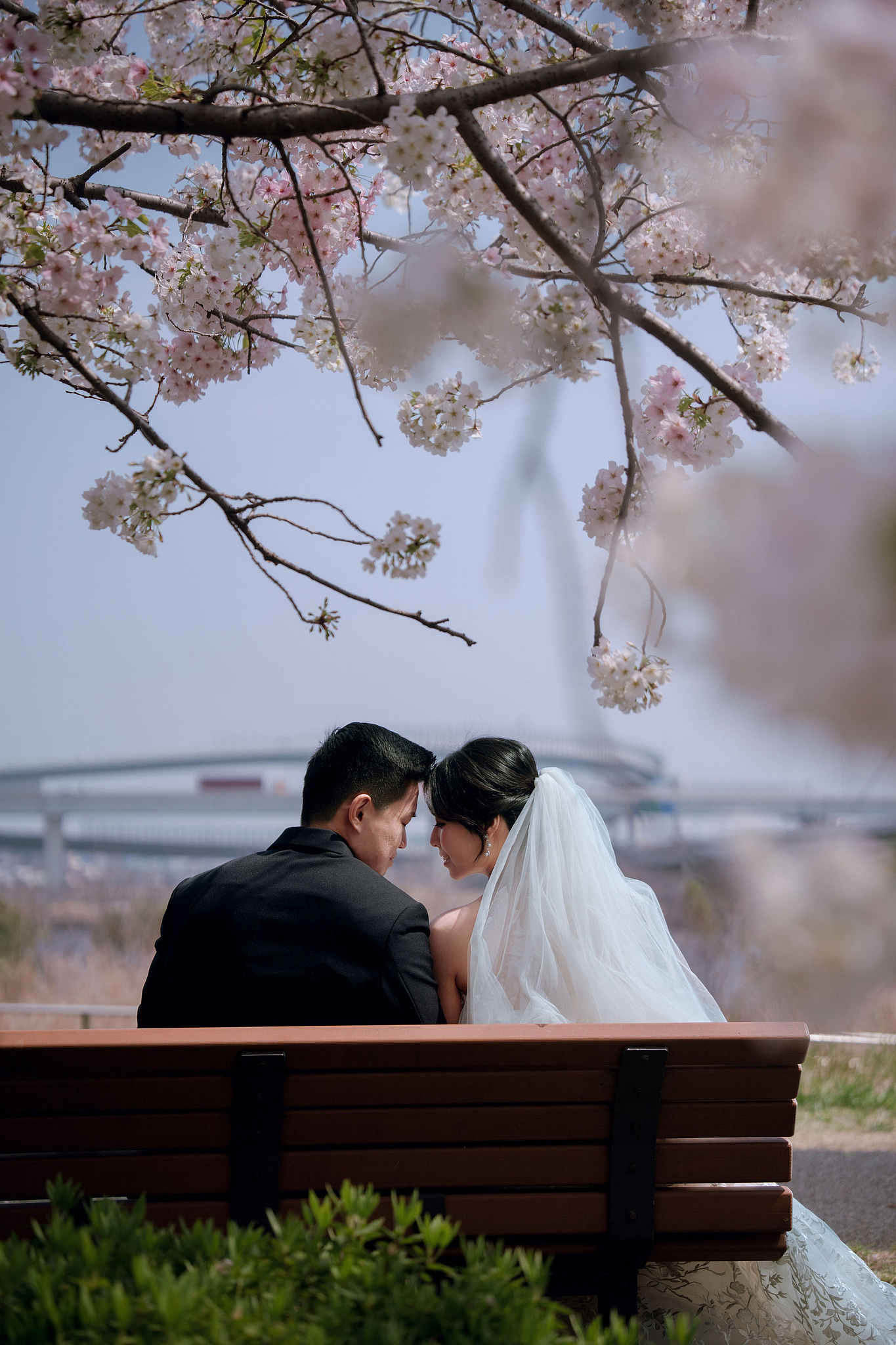 Tokyo & Mt Fuji Pre-Wedding Photoshoot | Senso-Ji Temple, Tokyo Park & Lake Kawaguchiko at Tokyo Park pre-wedding photo