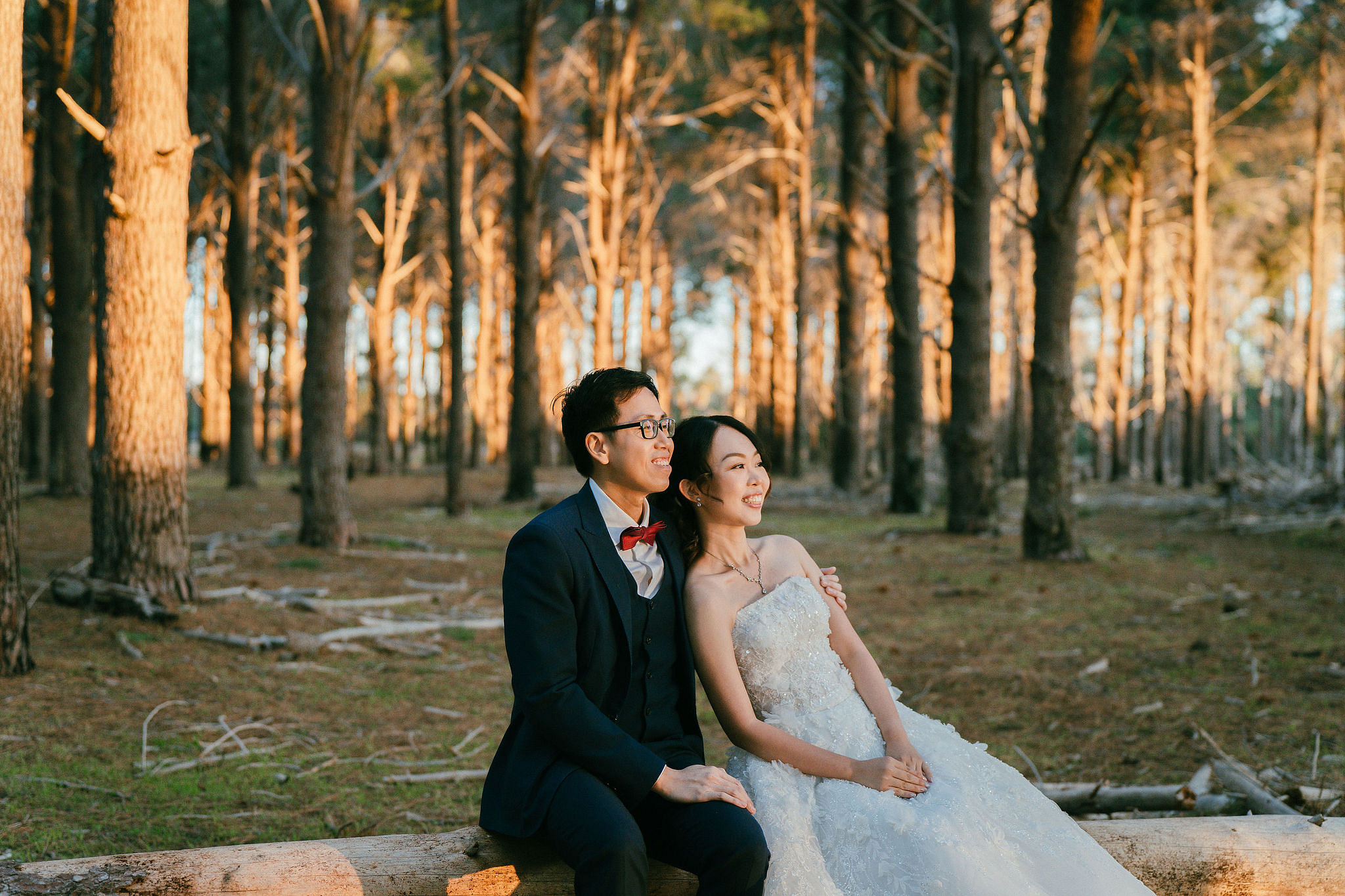 Perth Pre-Wedding Photoshoot | State Buildings & Wanneroo Pines at Wanneroo Pines pre-wedding photo