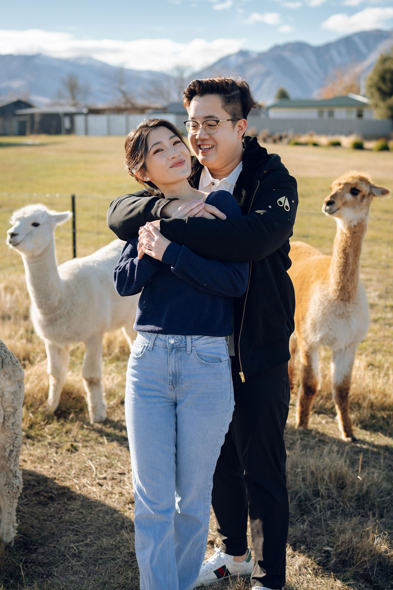 New Zealand Pre-Wedding Photoshoot | Arrowtown, Isobel Glacier, Alpaca Farm, Lake Tekapo & Mount Cook National Park at Alpaca Farm pre-wedding photo