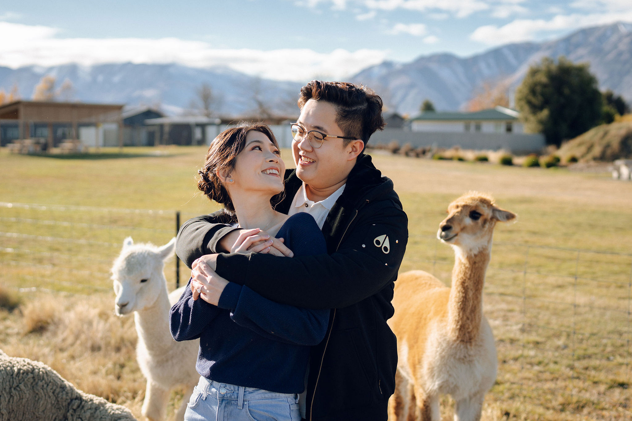 New Zealand Pre-Wedding Photoshoot | Arrowtown, Isobel Glacier, Alpaca Farm, Lake Tekapo & Mount Cook National Park at Alpaca Farm pre-wedding photo