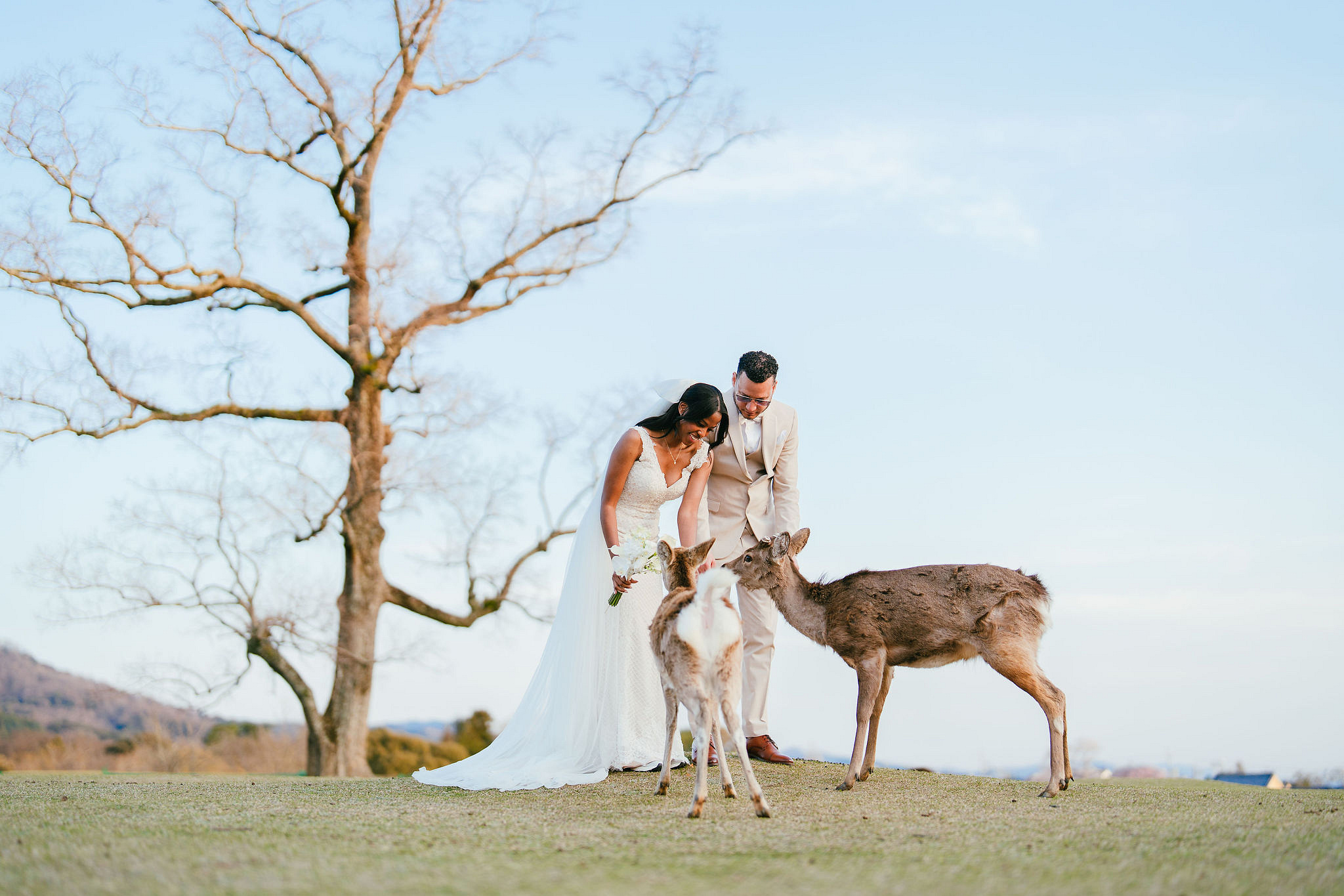 Kyoto Post-Wedding Photoshoot | Gion, Nara Deer Park & Mt. Wakakusa at Wakakusa pre-wedding photo