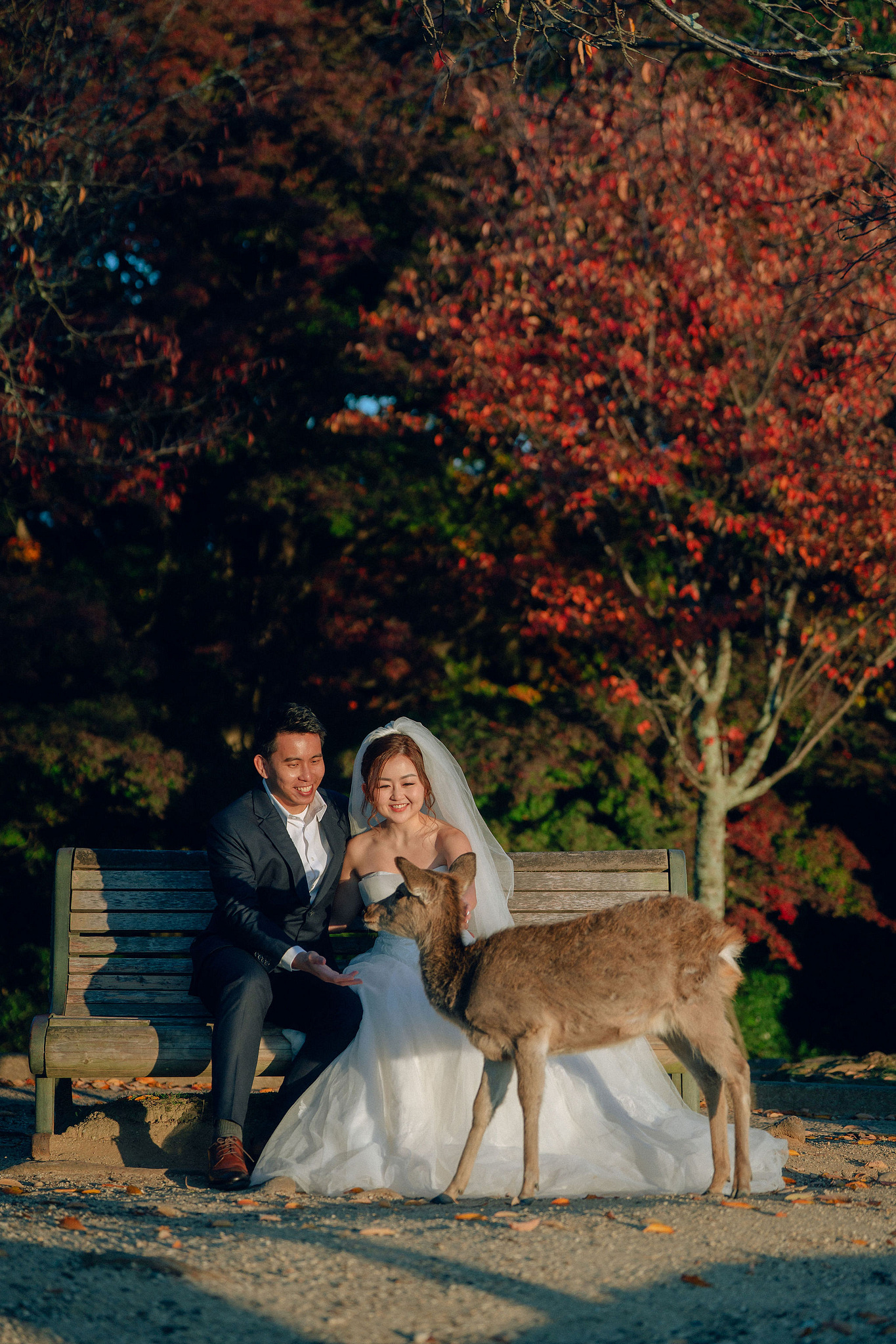 Kyoto Pre-Wedding Photoshoot | Arashiyama River, Arashiyama Temple & Mt. Wakakusa at Mt. Wakakusa pre-wedding photo