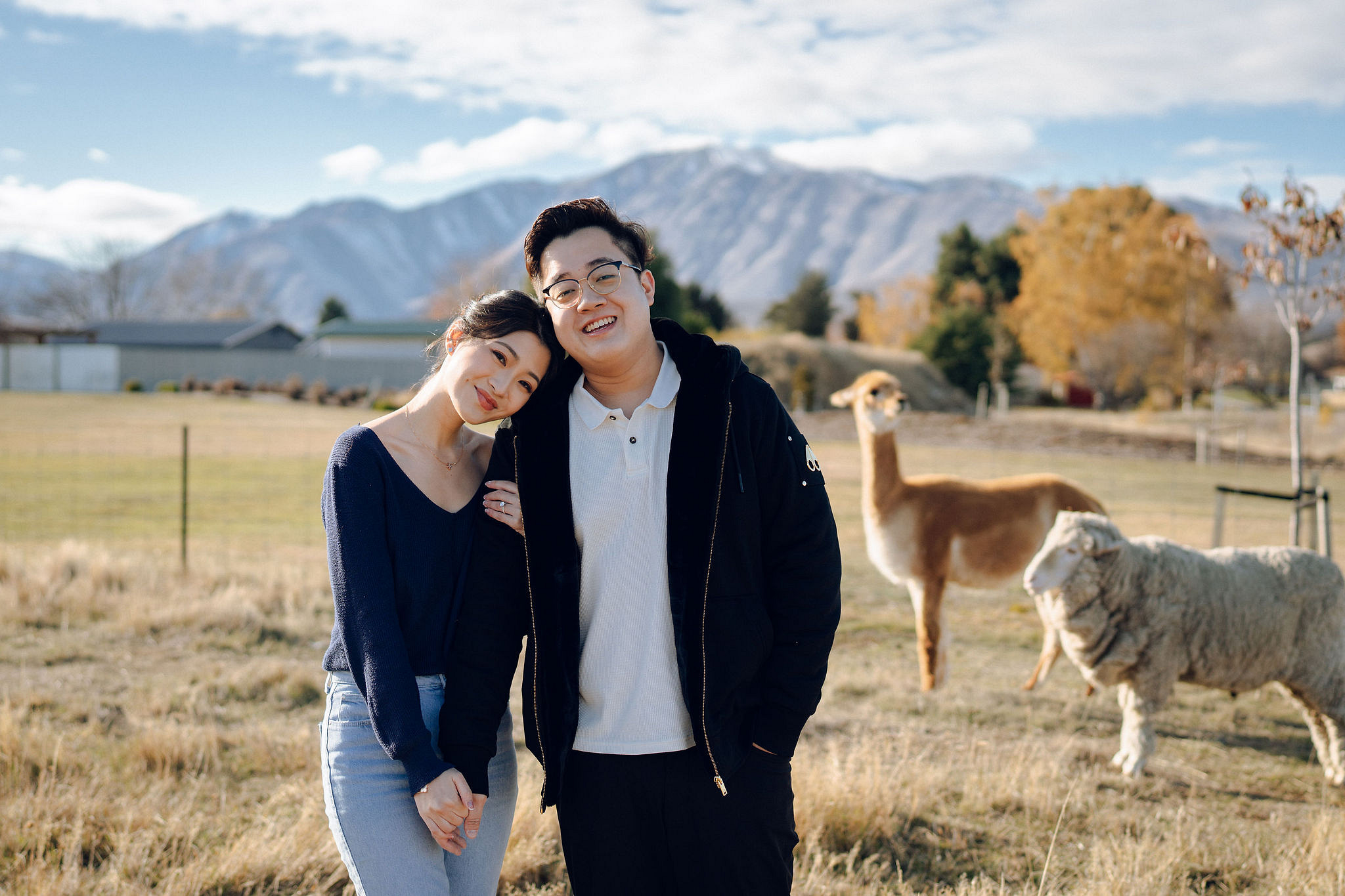 New Zealand Pre-Wedding Photoshoot | Arrowtown, Isobel Glacier, Alpaca Farm, Lake Tekapo & Mount Cook National Park at Alpaca Farm pre-wedding photo