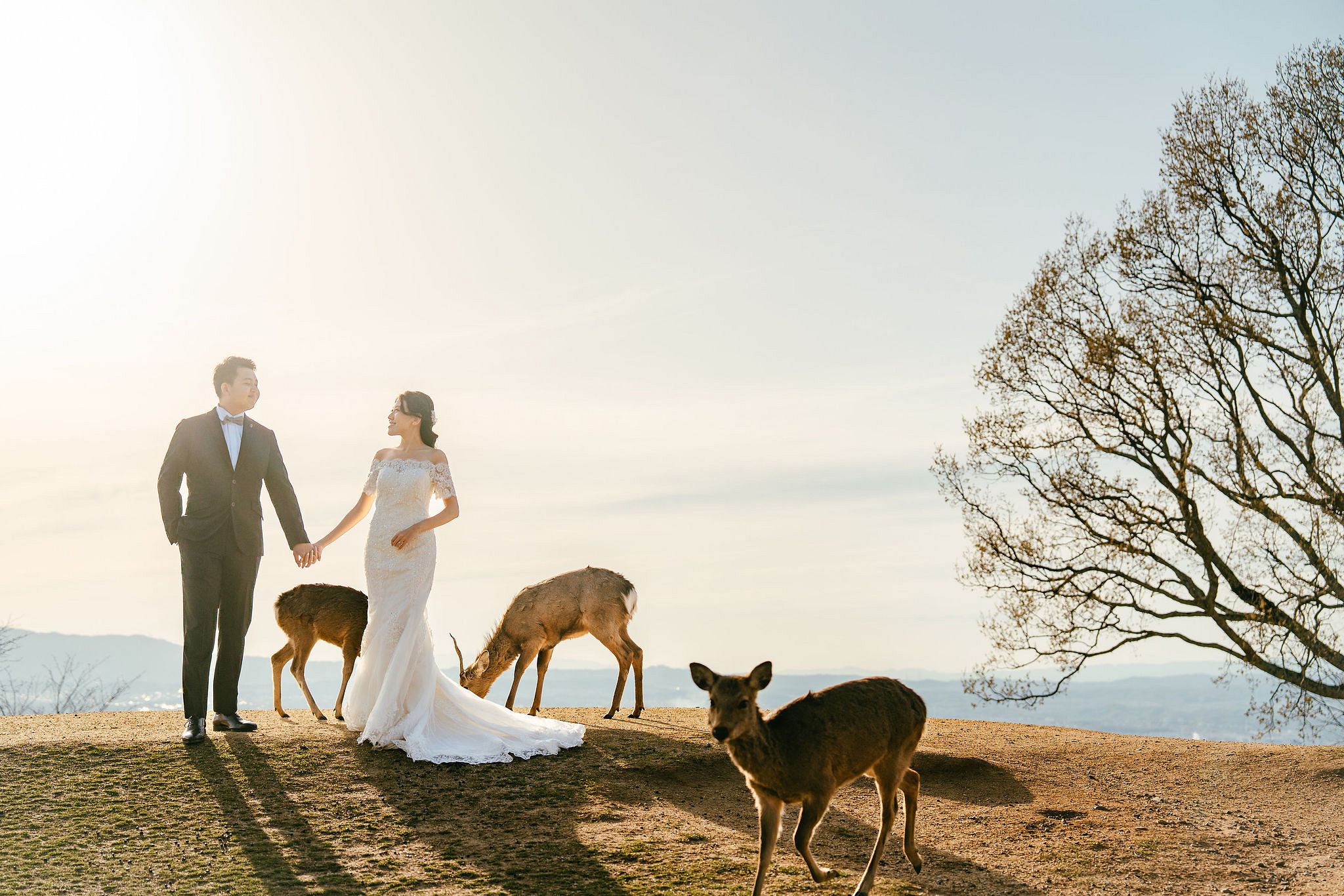 Kyoto Pre-Wedding Photoshoot | Nara Park, Gion & Mount Wakakusa at Mount Wakakusa pre-wedding photo