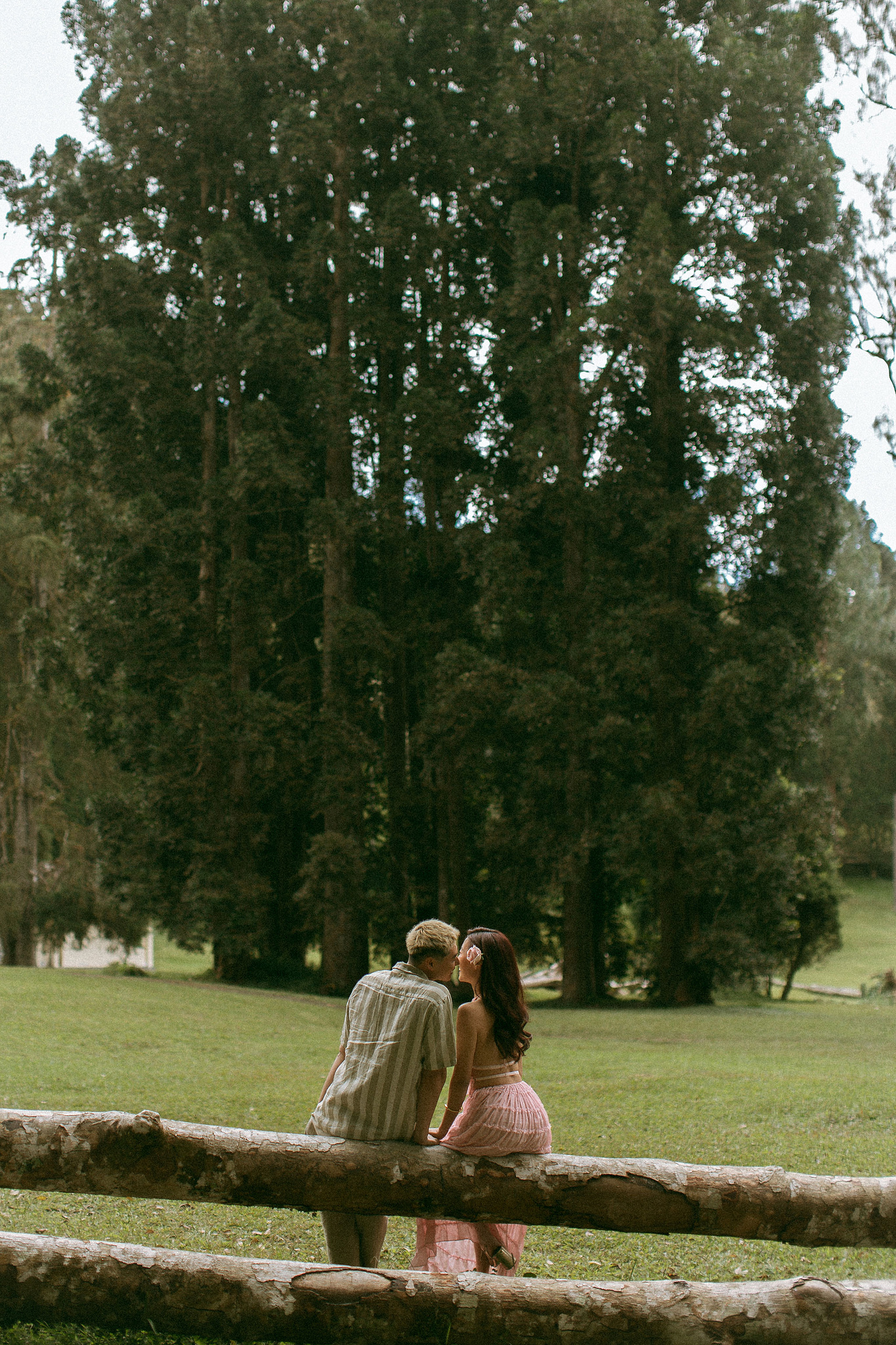 Bali Pre-Wedding Photoshoot | Lake Tamblingan, Kebun Raya Botanic Gardens & Blangsinga Waterfall at Botanic Gardens pre-wedding photo