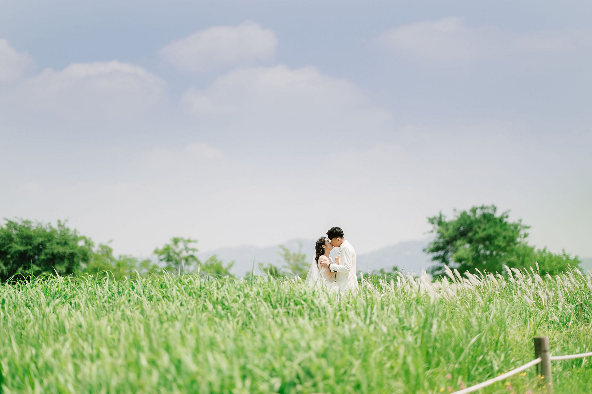 Seoul Pre-Wedding Photoshoot | Haneul Park, Yonsei University & Yeonnam-dong at Haneul Park pre-wedding photo