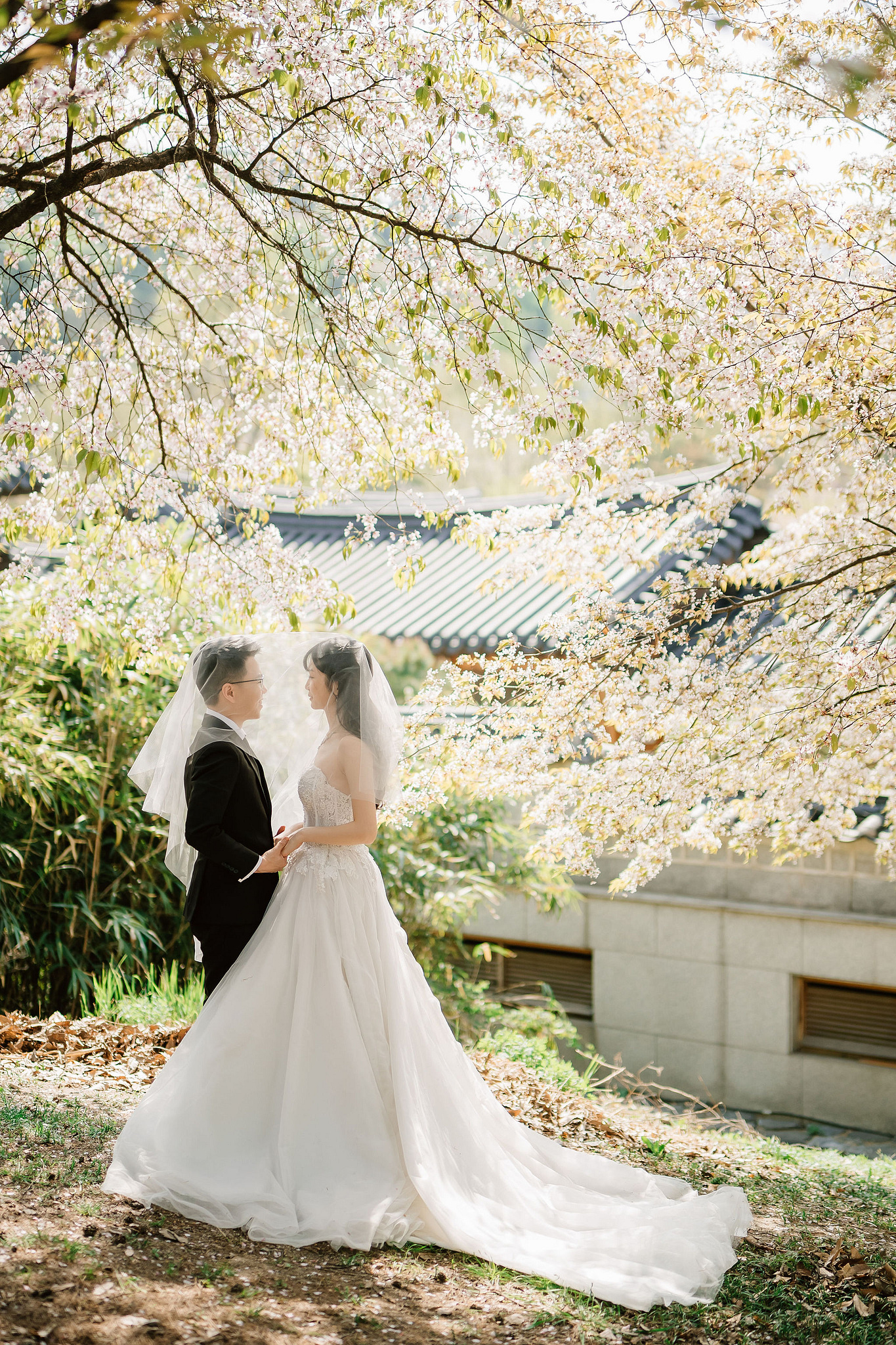 Seoul Pre-Wedding Photoshoot | Seoul Forest, Namsangol Hanok Village & Samcheong-dong at Seoul Forest pre-wedding photo