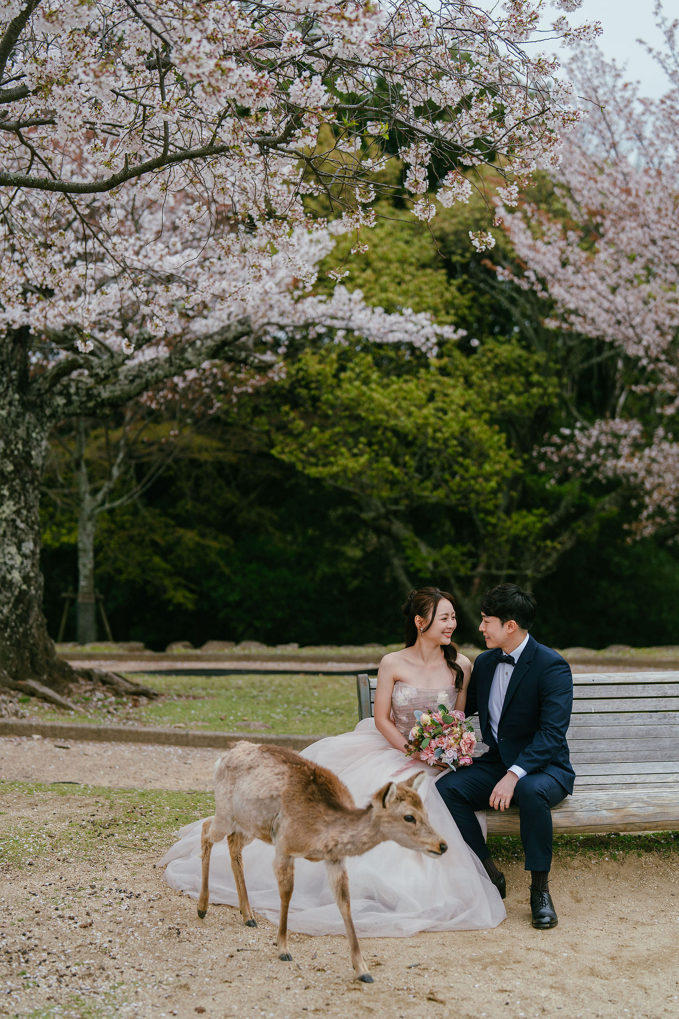 Kyoto Pre-Wedding Photoshoot | Fushimi Inari, Nara Deer Park & Mt. Wakakusa at Mt. Wakakusa pre-wedding photo