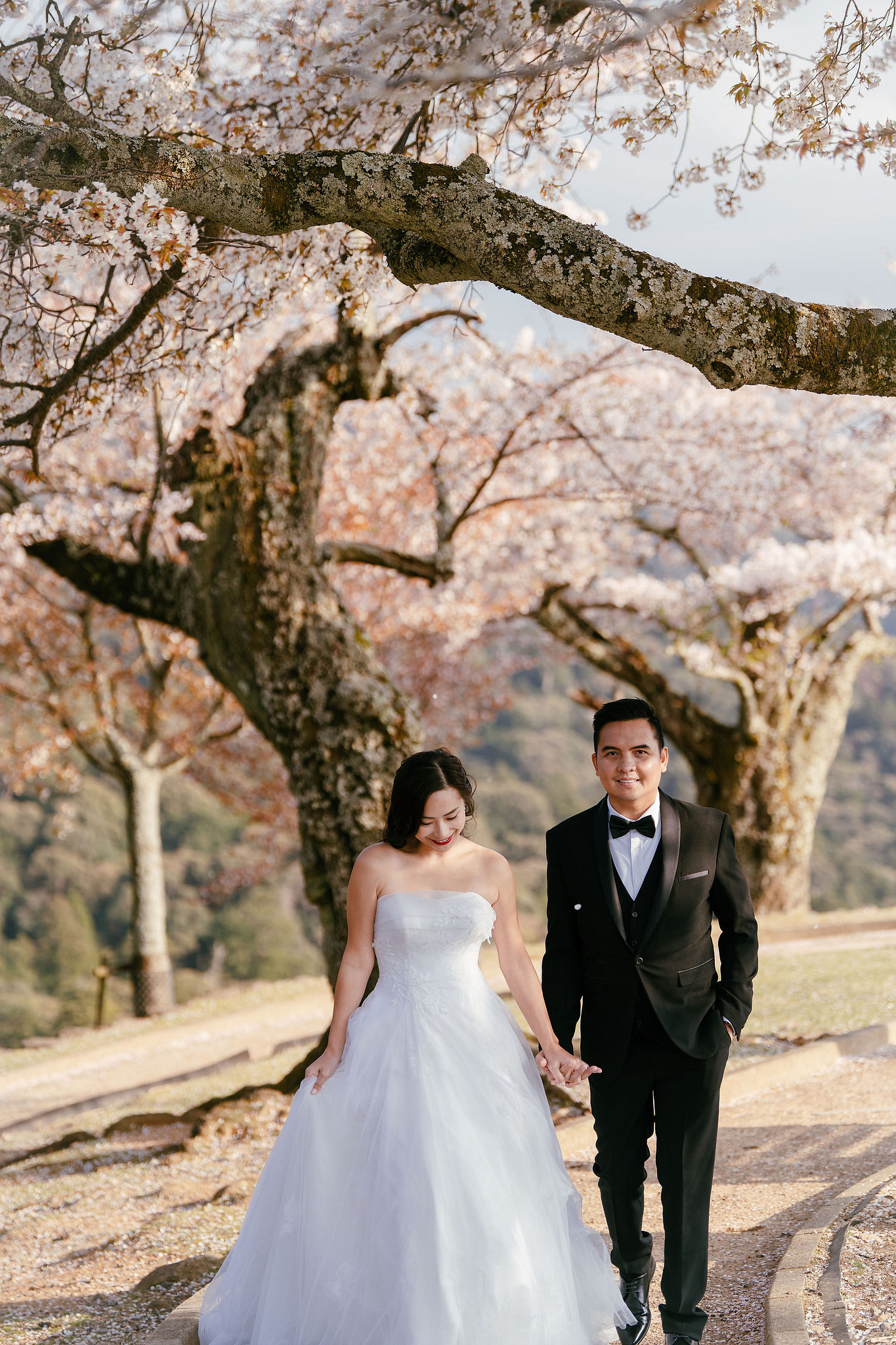 Kyoto Pre-Wedding Photoshoot | Gion Canal, Ninenzaka & Mount Wakakusa at Mount Wakakusa, Nara pre-wedding photo