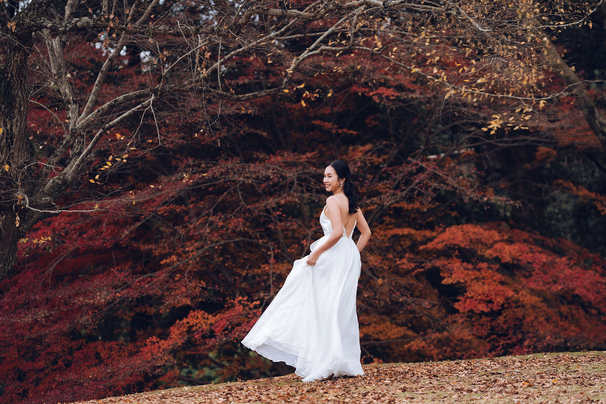 Kyoto Pre-Wedding Photoshoot | Historic Pagoda Streets & Nara Grasslands at Nara Grasslands & Rolling Hills pre-wedding photo