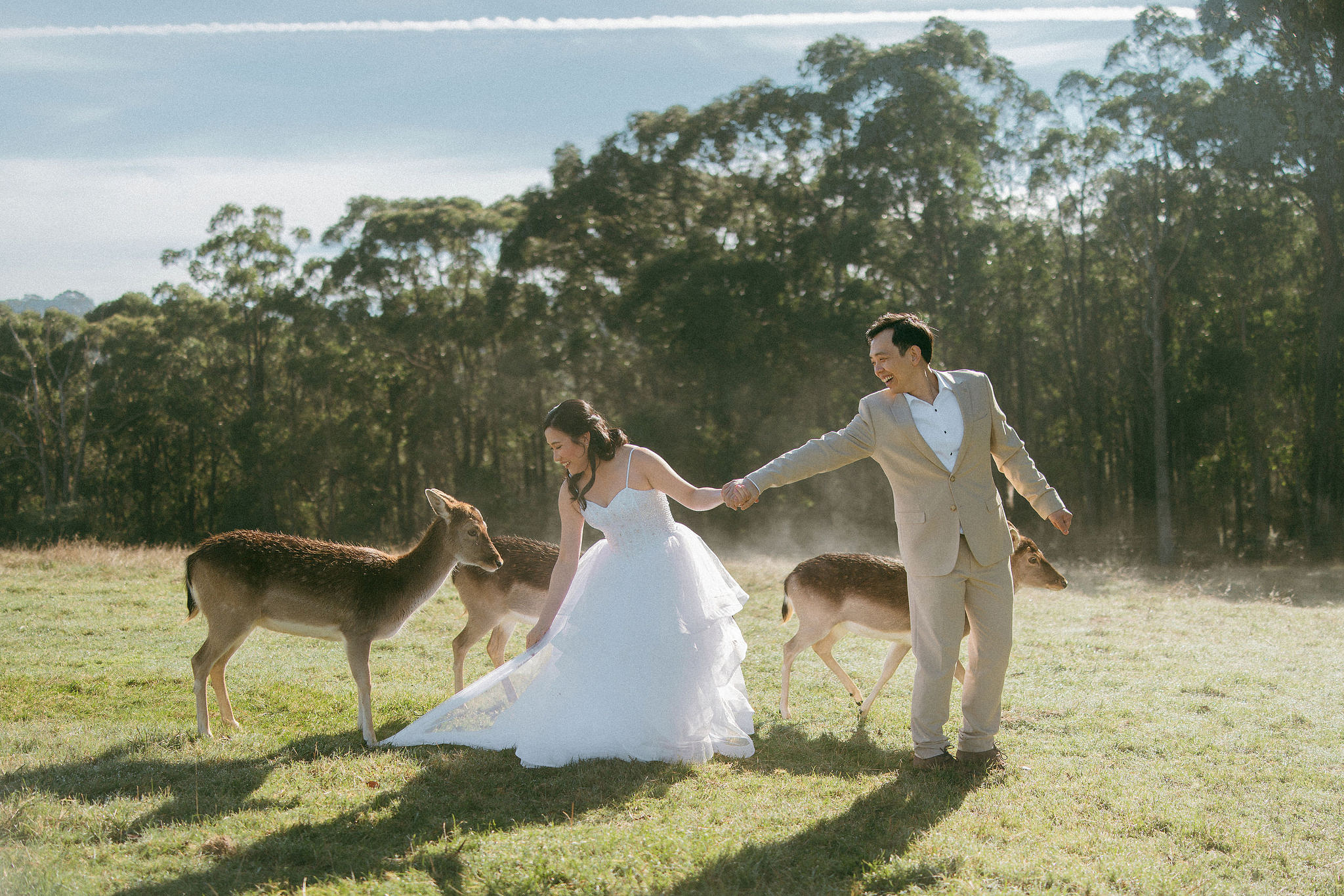 Melbourne Pre-Wedding Photoshoot | Gum Gully Farm, Studley Park & Carlton Gardens at Gum Gully Farm pre-wedding photo