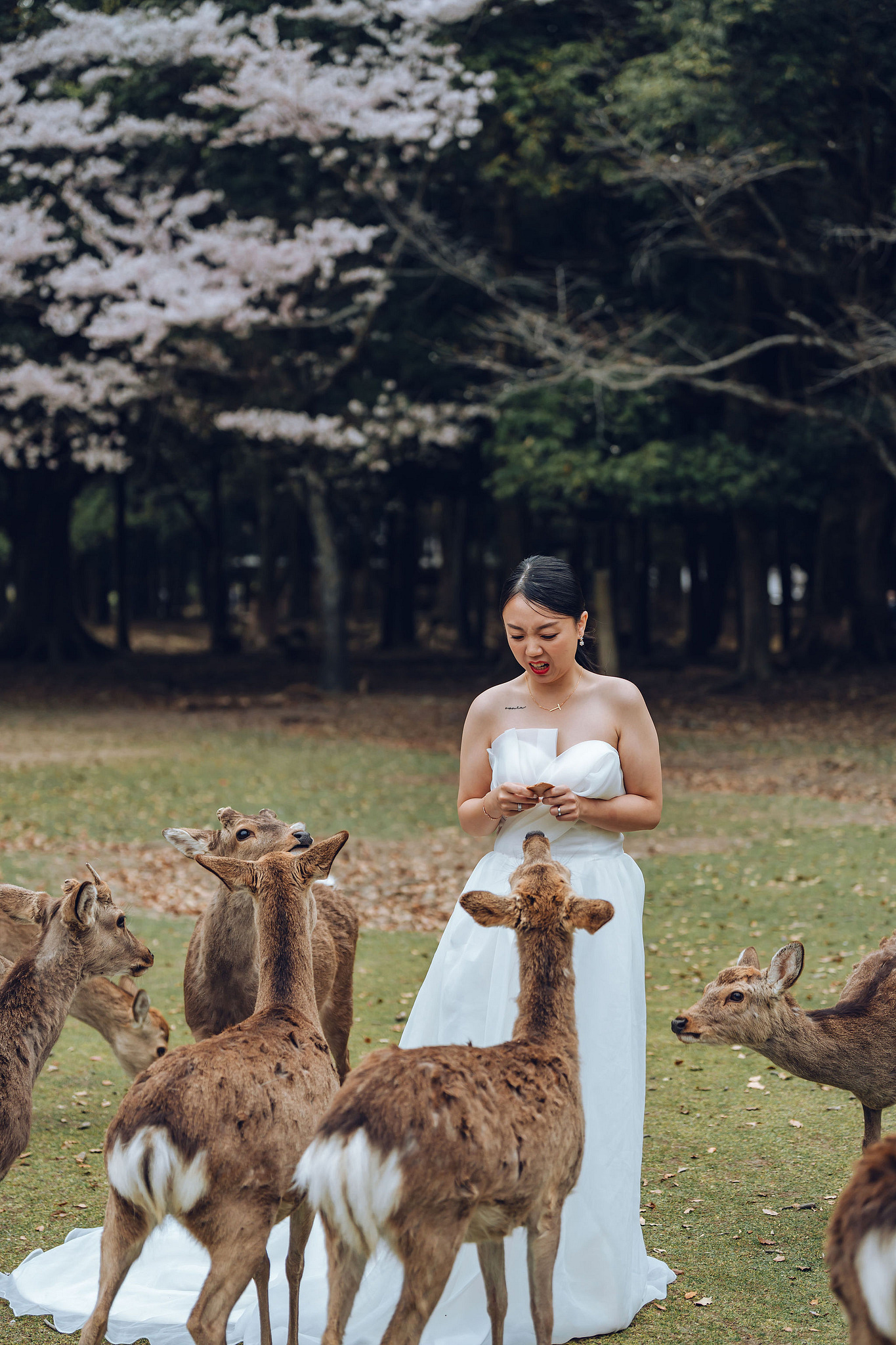 Kyoto Pre-Wedding Photoshoot | Historic Higashiyama Streets, Keage Incline & Nara Park at Nara Park pre-wedding photo