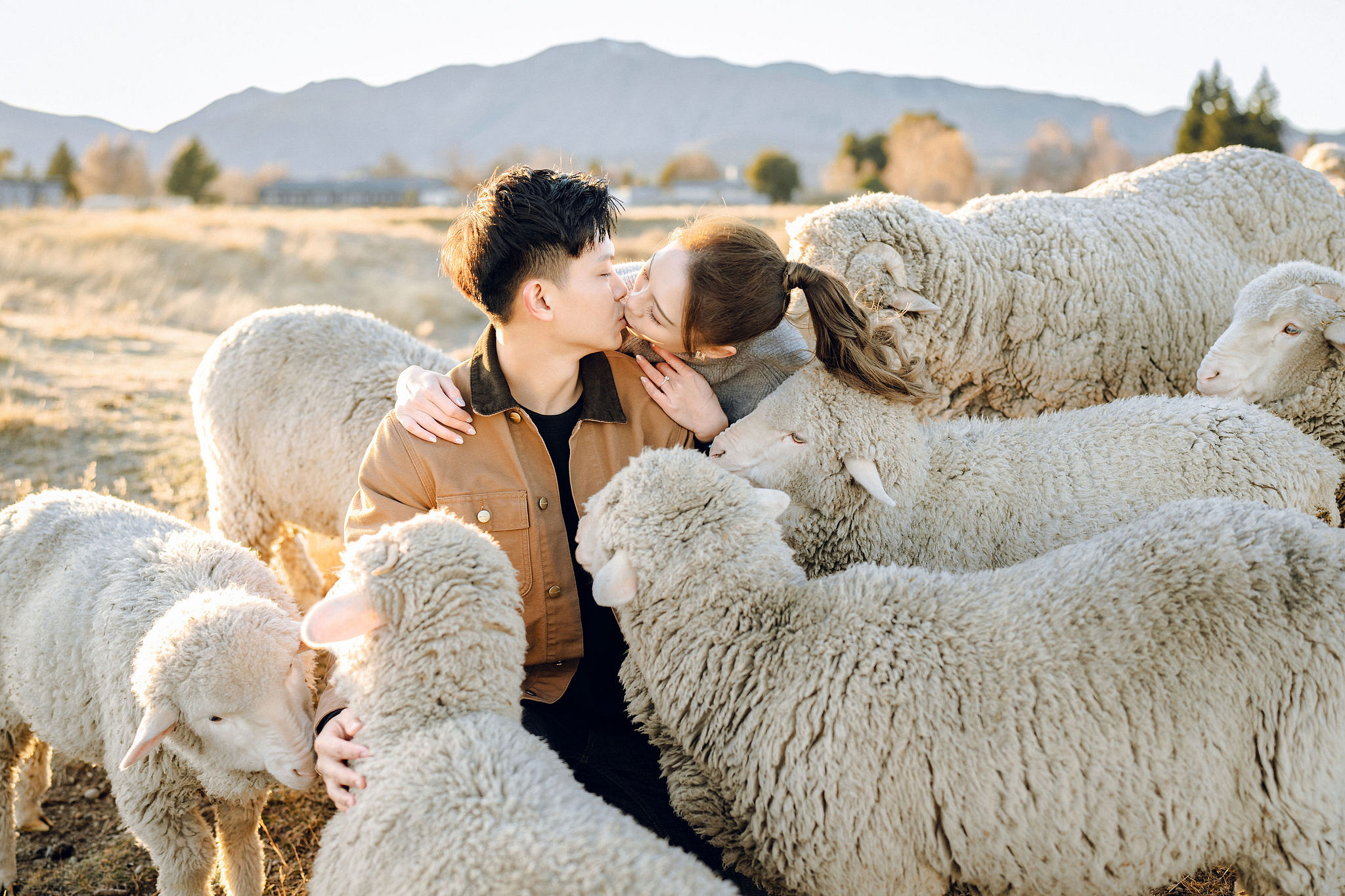 New Zealand Pre-Wedding Photoshoot | Alpaca Farm, Mt John, Lake Tekapo, Mount Cook National Park, Glacier Lake & Omarama Clay Cliffs at Alpaca Farm & Mt John pre-wedding photo