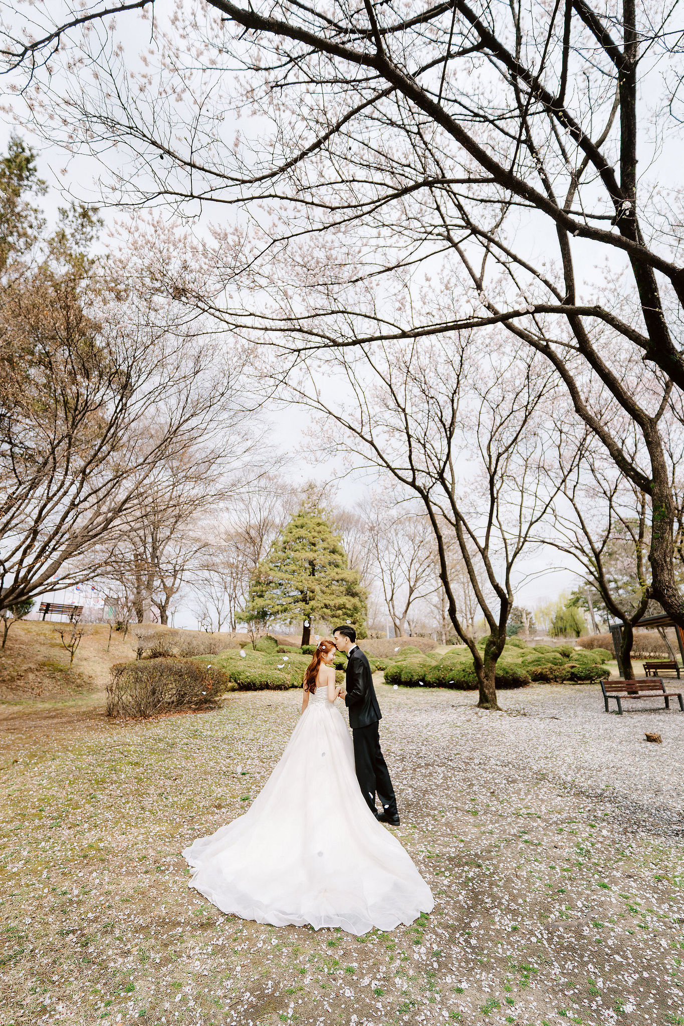 Seoul Pre-Wedding Photoshoot | Yongsan Park, Yonsei University & Kyung Hee University at Yongsan Park pre-wedding photo