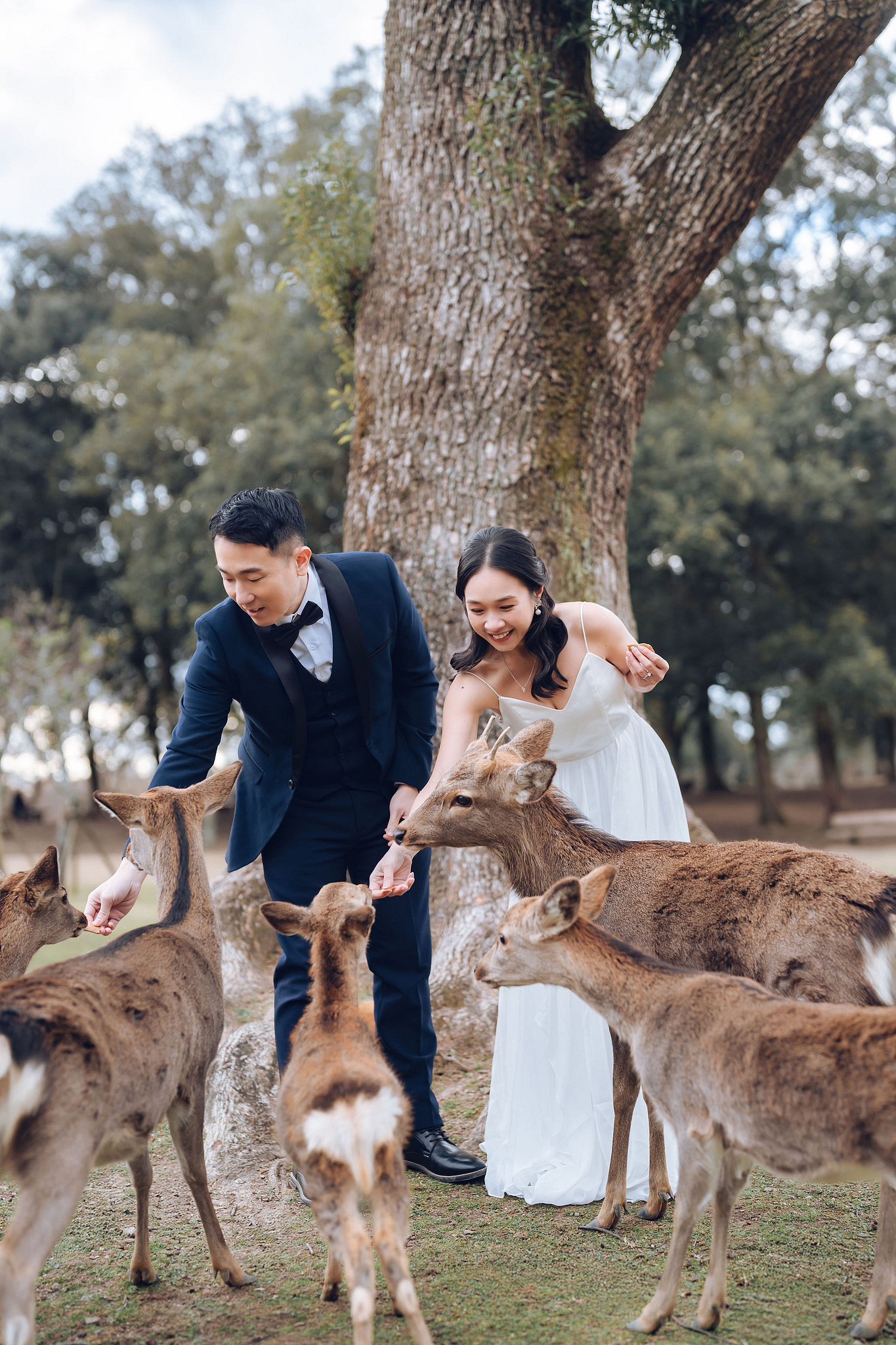 Kyoto Pre-Wedding Photoshoot | Historic Pagoda Streets & Nara Grasslands at Historic Kyoto Streets & Pagoda pre-wedding photo