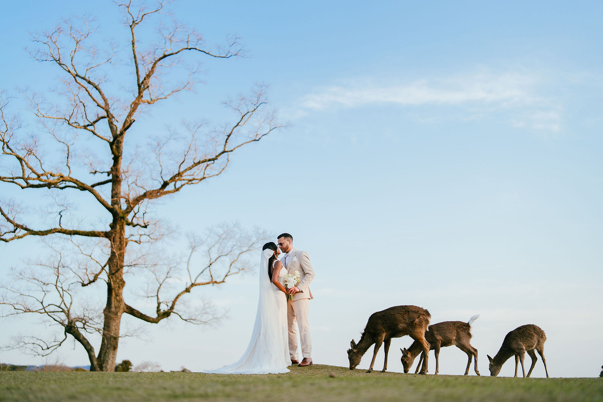 Kyoto Post-Wedding Photoshoot | Gion, Nara Deer Park & Mt. Wakakusa at Wakakusa pre-wedding photo