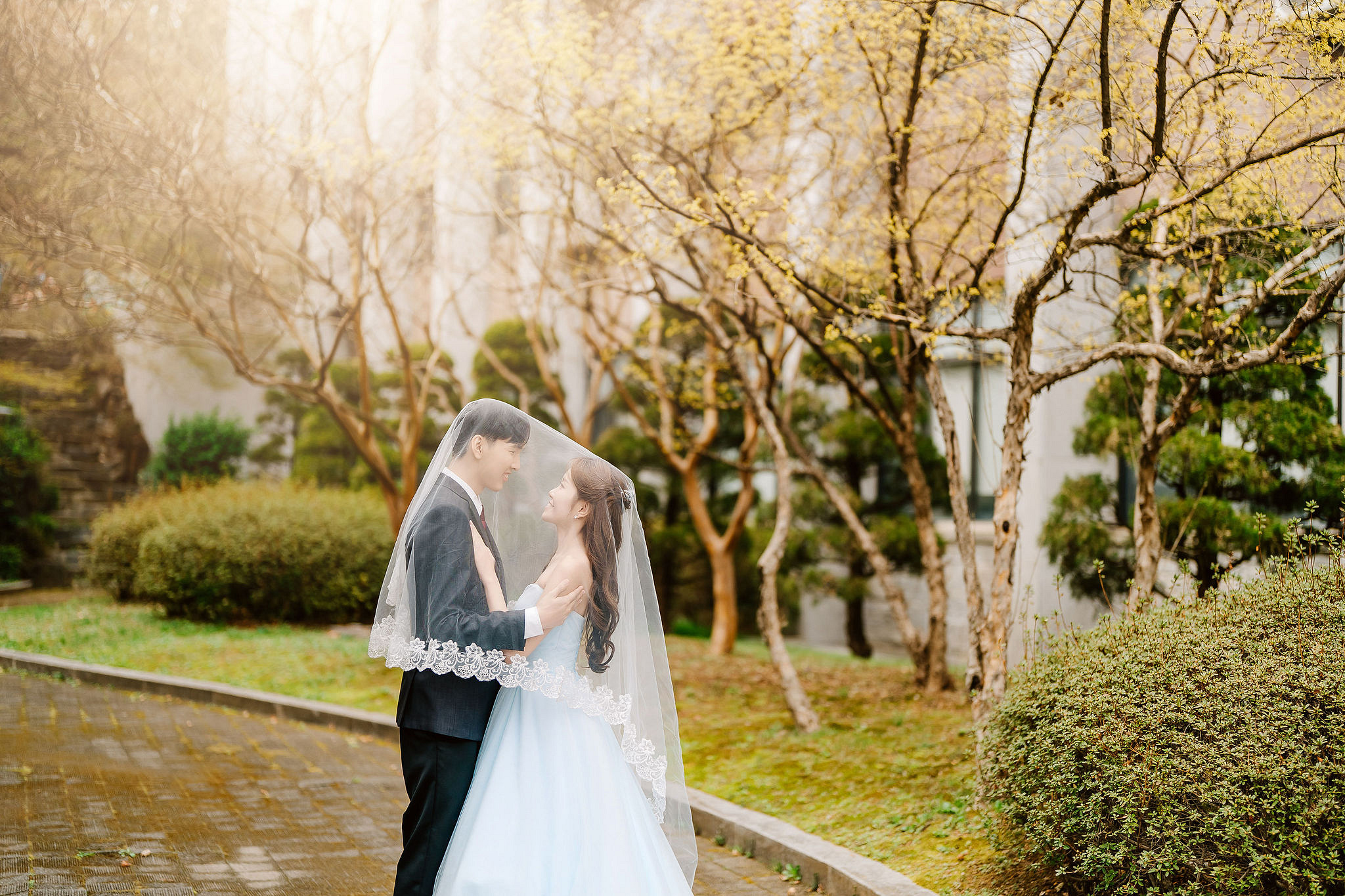 Seoul Pre-Wedding Photoshoot | Yongsan Park, Yonsei University & Kyung Hee University at Yonsei University pre-wedding photo
