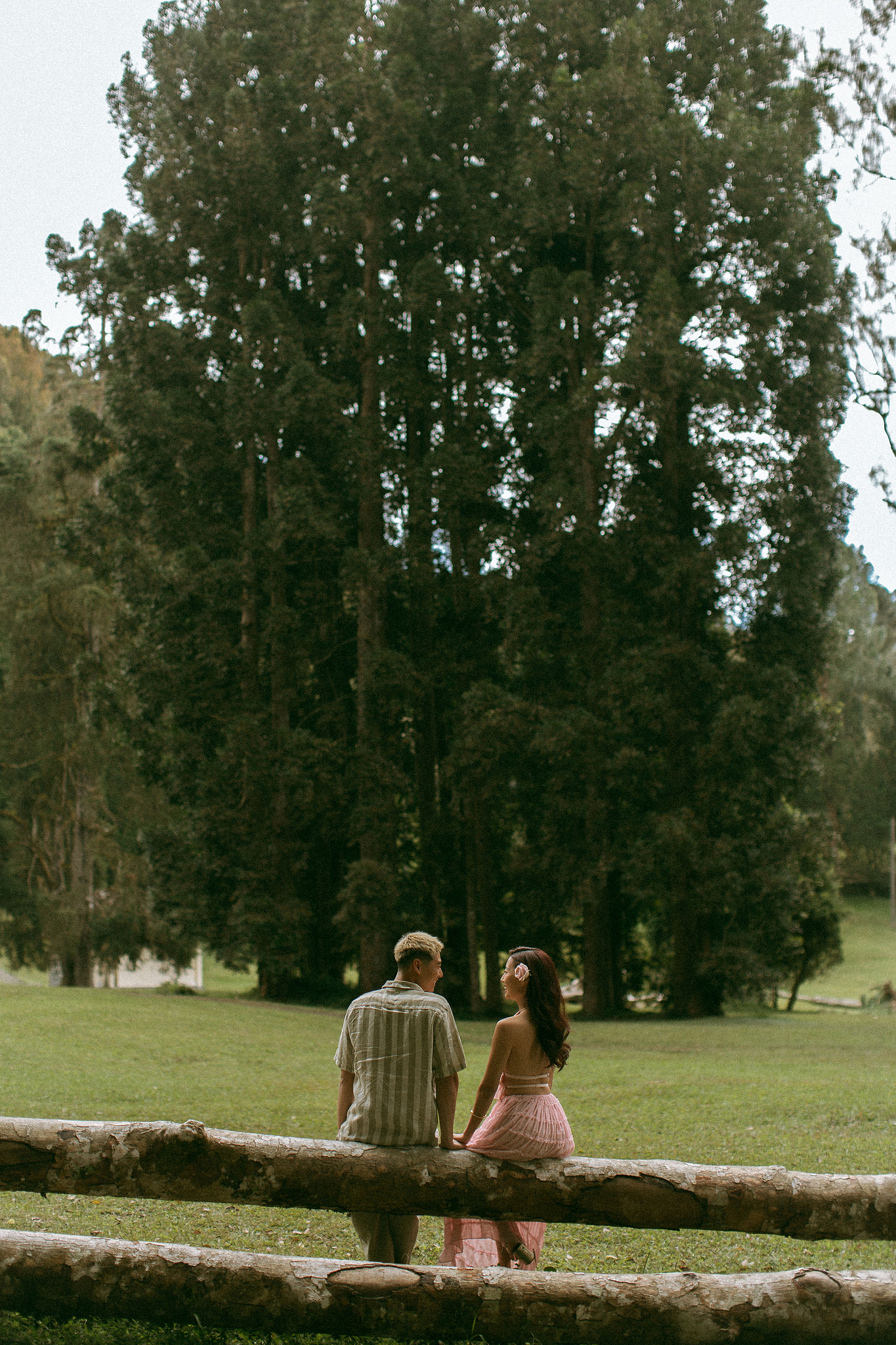 Bali Pre-Wedding Photoshoot | Lake Tamblingan, Kebun Raya Botanic Gardens & Blangsinga Waterfall at Botanic Gardens pre-wedding photo