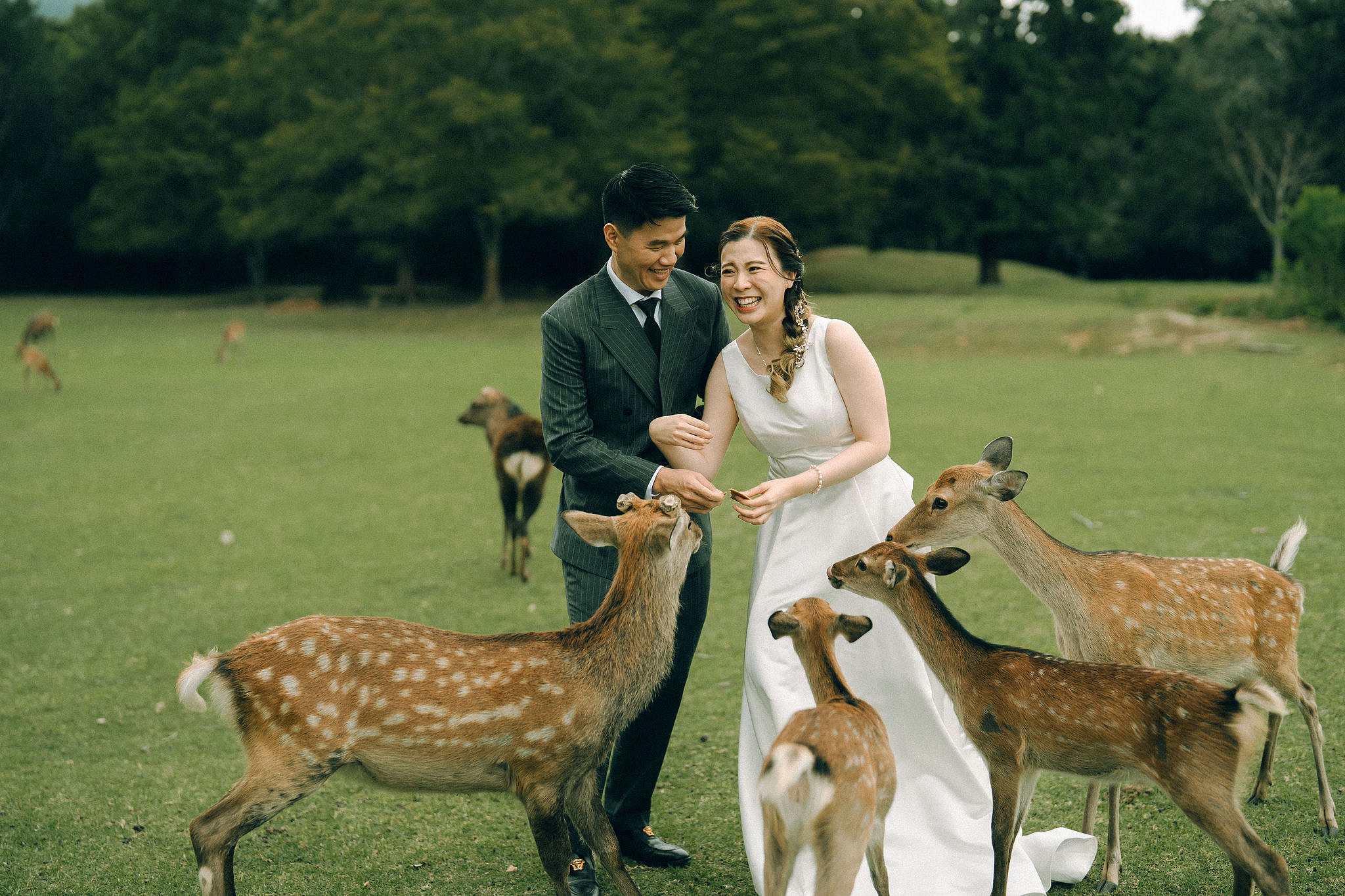 Kyoto Pre-Wedding Photoshoot | Fushimi Inari, Gion & Nara Park at Nara Park & Surrounding Hills pre-wedding photo