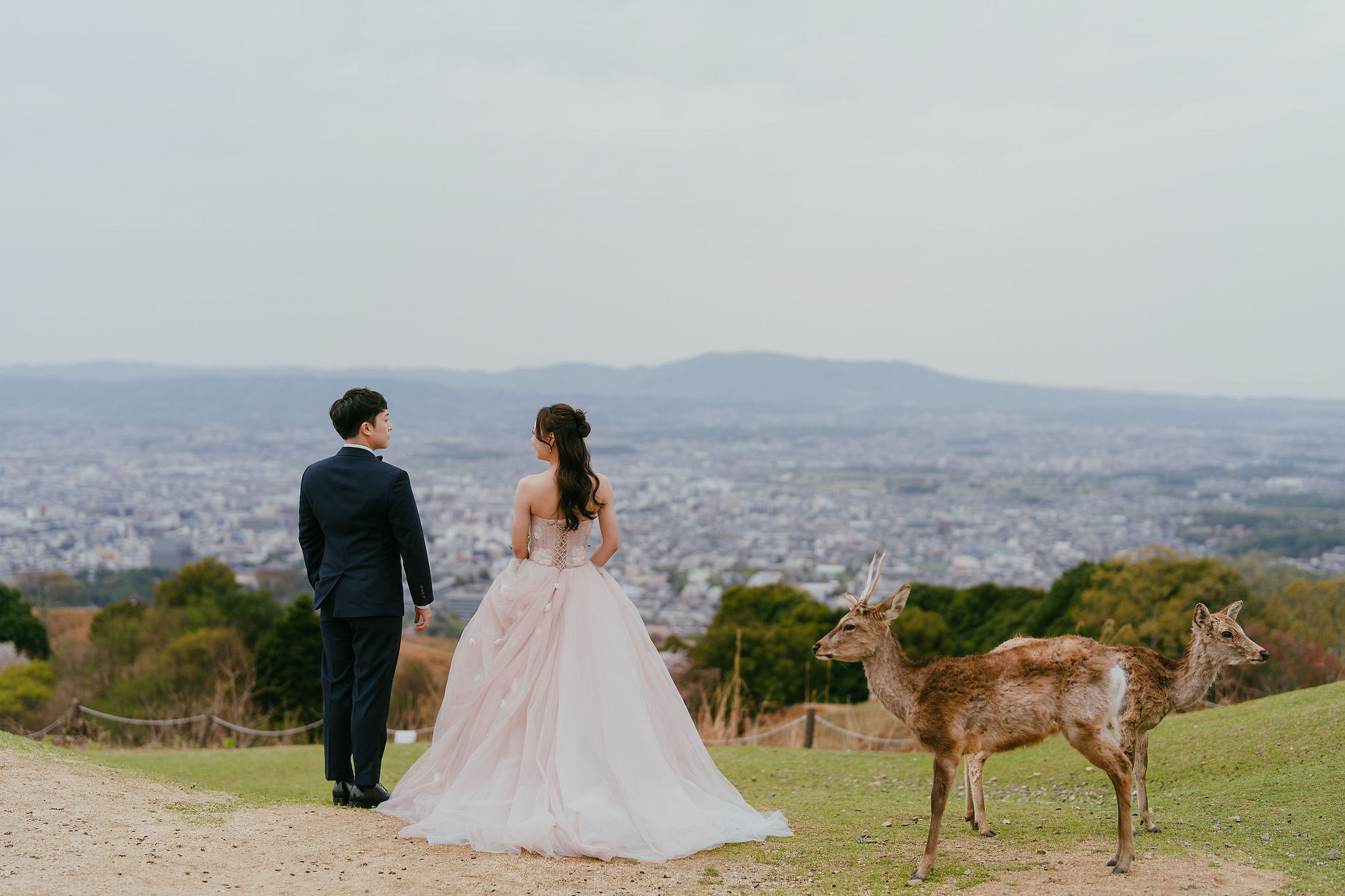 Kyoto Pre-Wedding Photoshoot | Fushimi Inari, Nara Deer Park & Mt. Wakakusa at Mt. Wakakusa pre-wedding photo