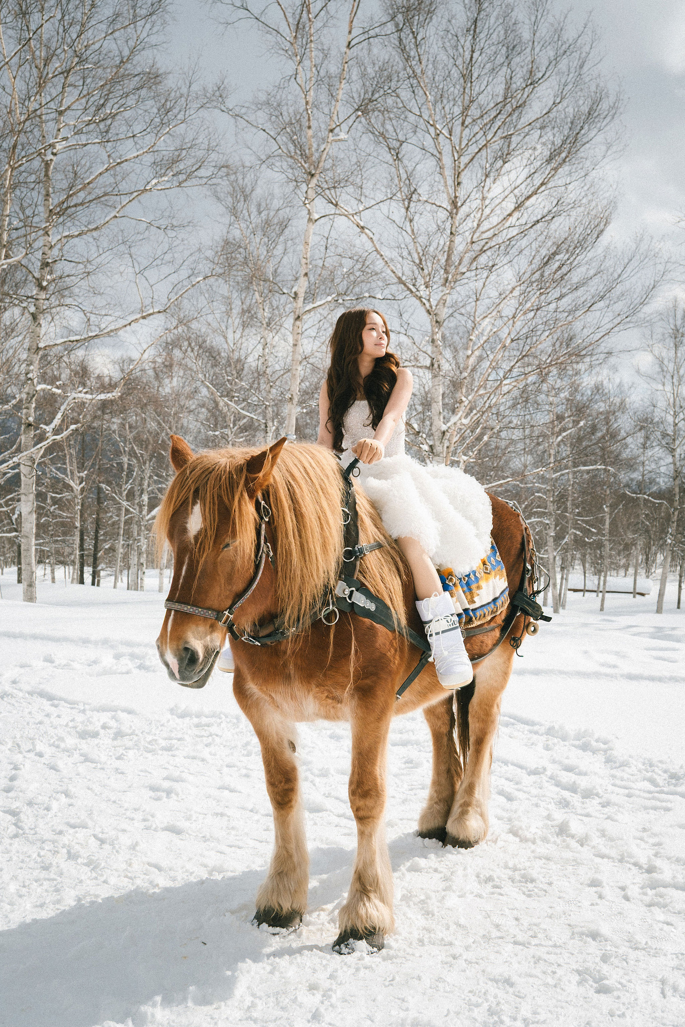 Hokkaido Pre-Wedding Photoshoot | Birch Forest, Rusutsu Resort & Hirafu Village at Birch Forest pre-wedding photo