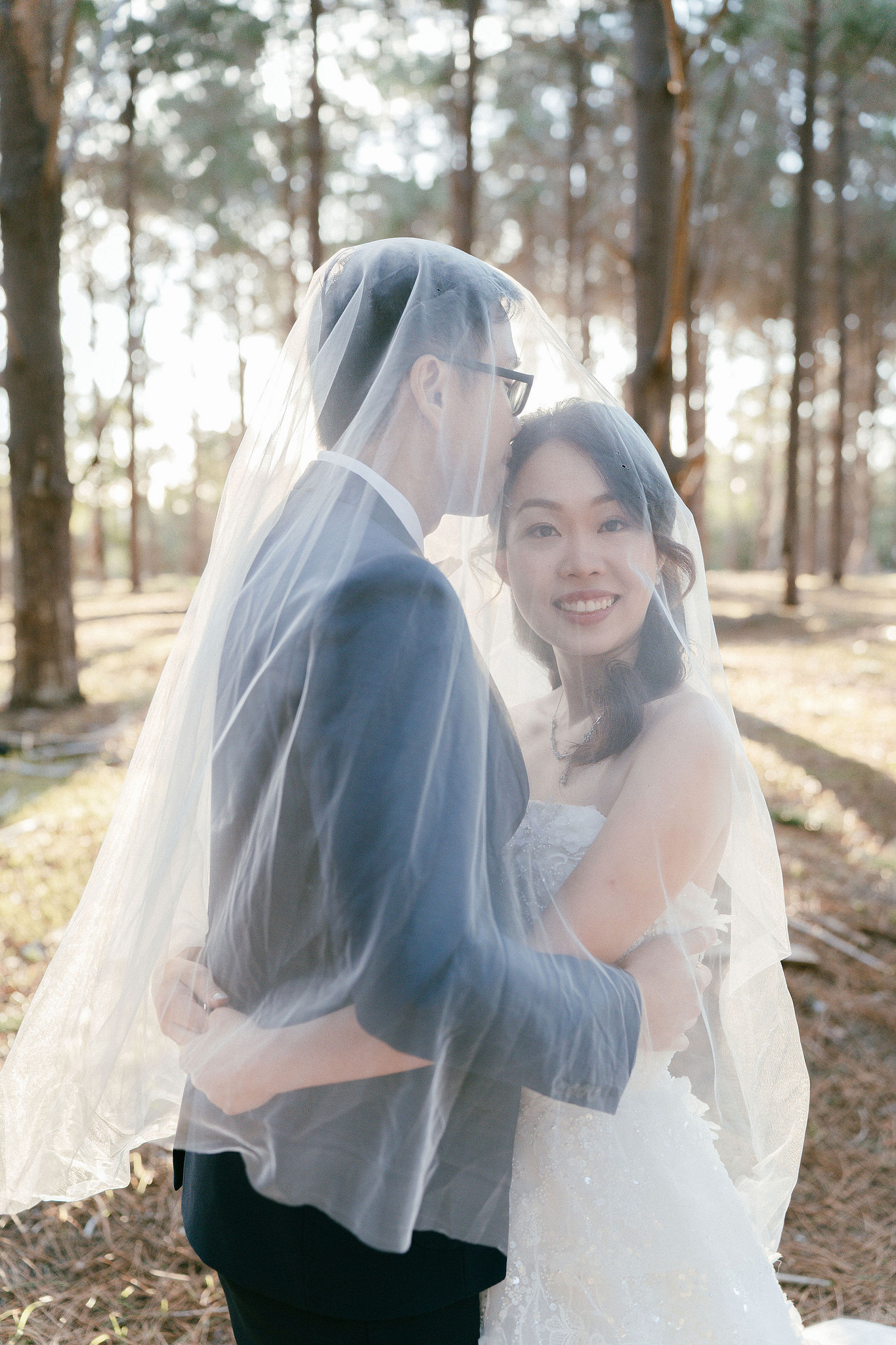 Perth Pre-Wedding Photoshoot | State Buildings & Wanneroo Pines at Wanneroo Pines pre-wedding photo