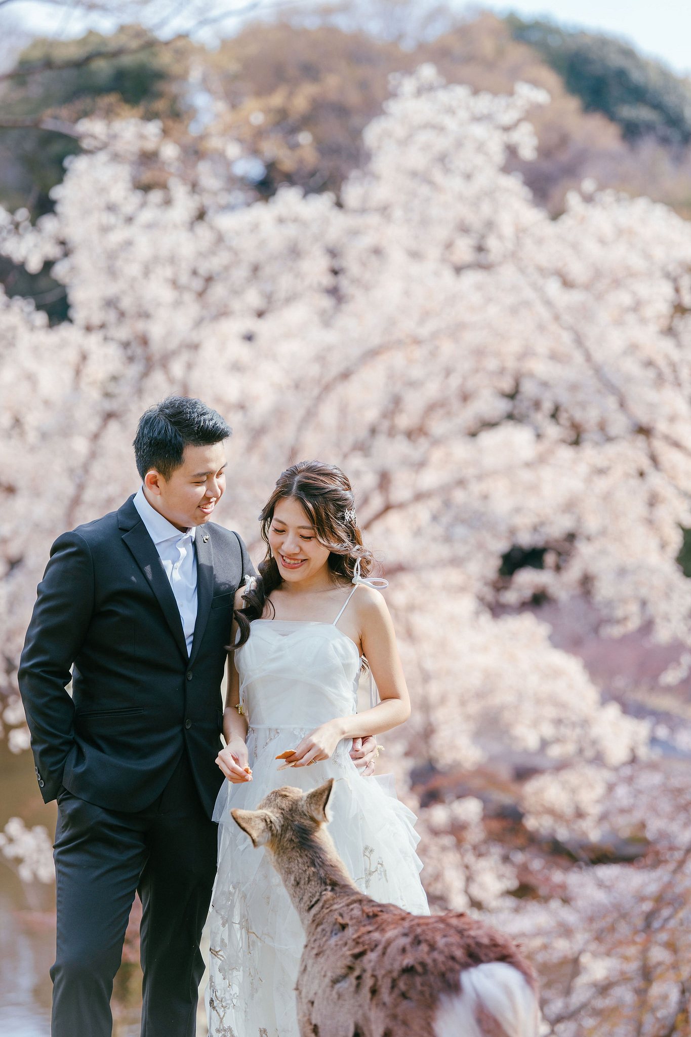 Kyoto Pre-Wedding Photoshoot | Nara Park, Gion & Mount Wakakusa at Nara Park pre-wedding photo