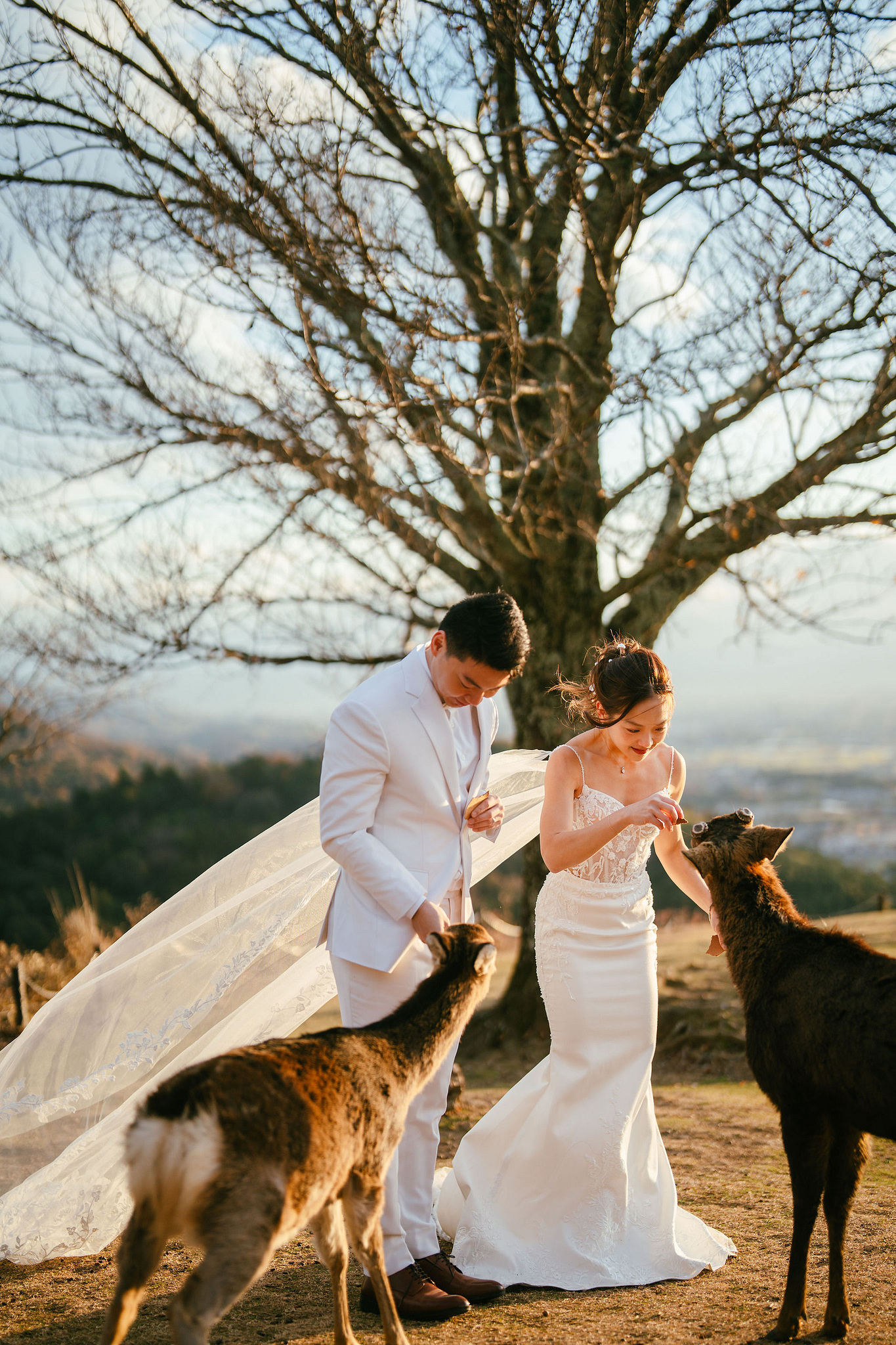 Kyoto Pre-Wedding Photoshoot | Ninenzaka, Nara Deer Park & Mt. Wakakusa at Mt. Wakakusa pre-wedding photo